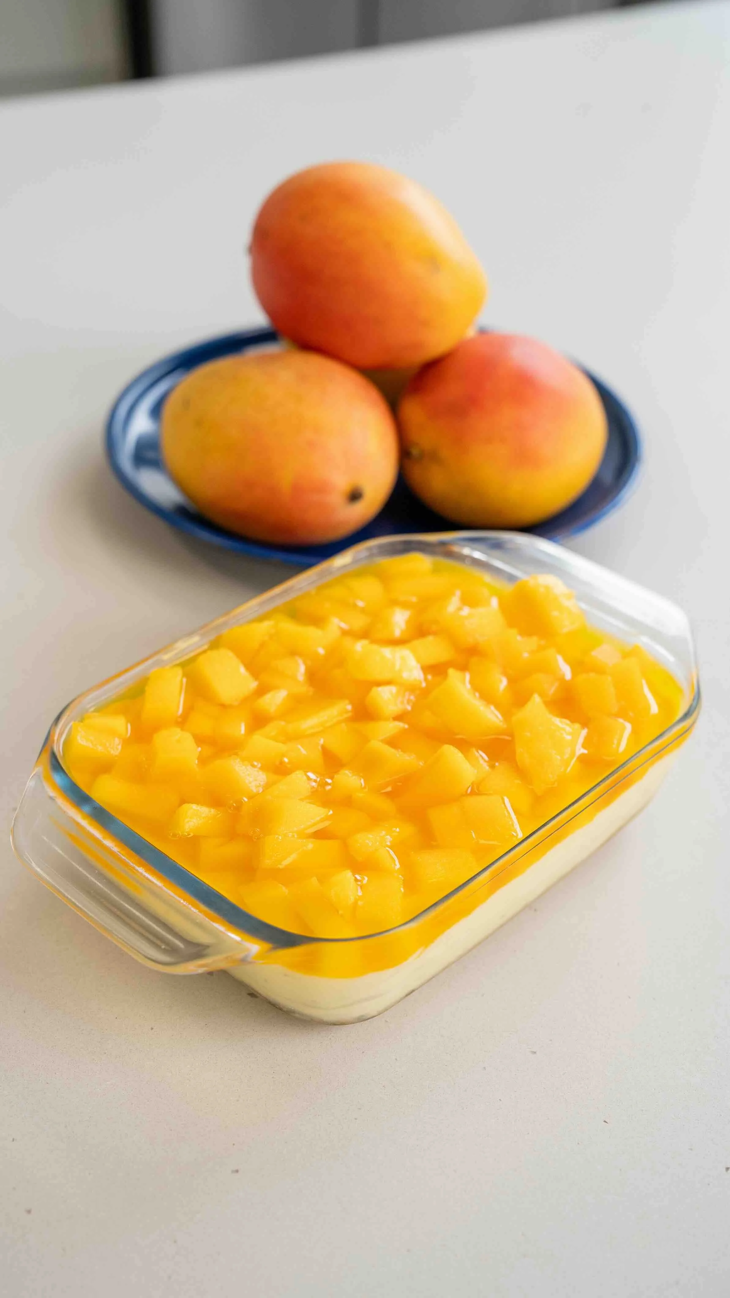 NO BAKE MANGO CHEESECAKE 
