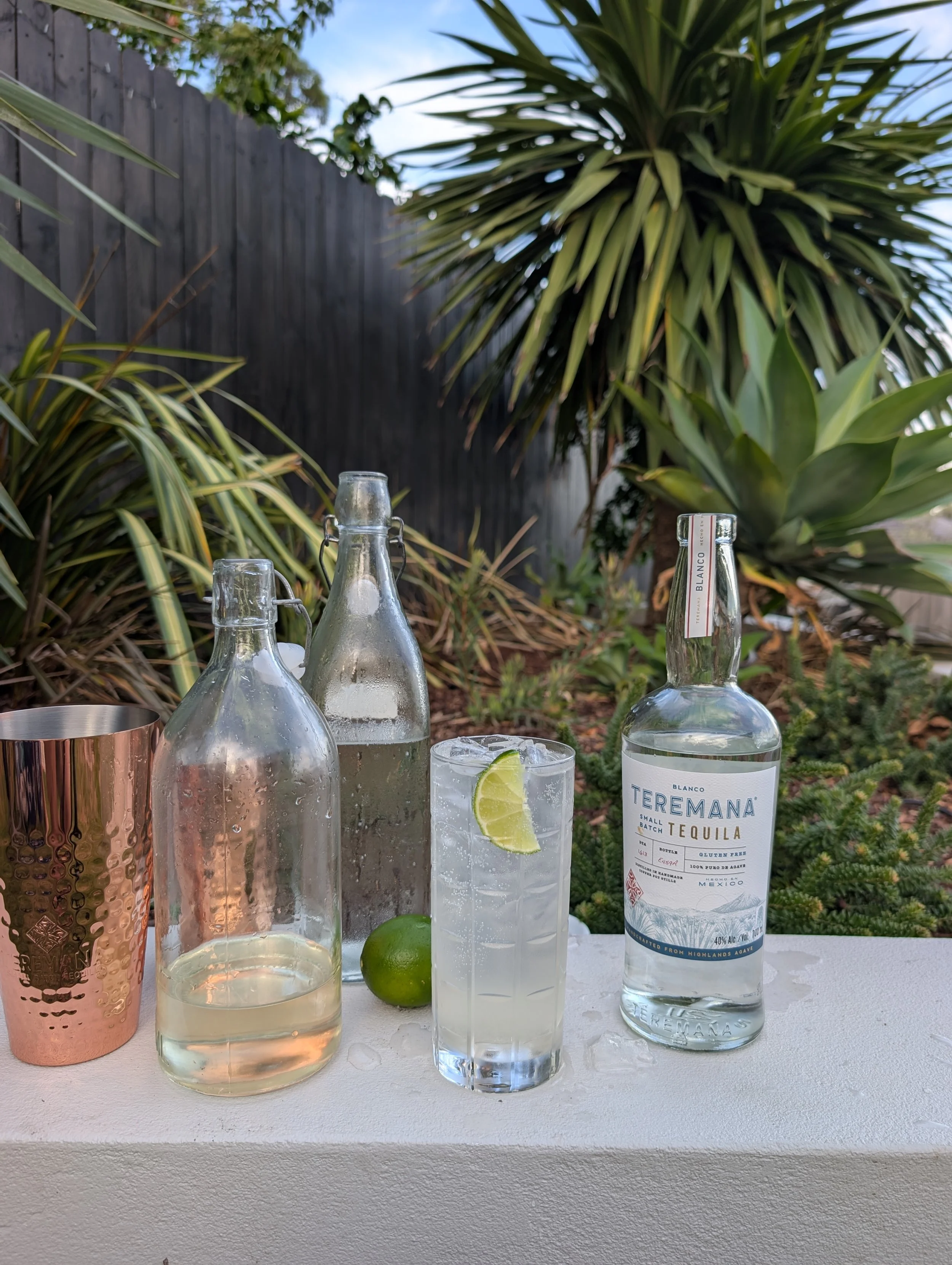 Hayden Quinn Ranch Water Recipe