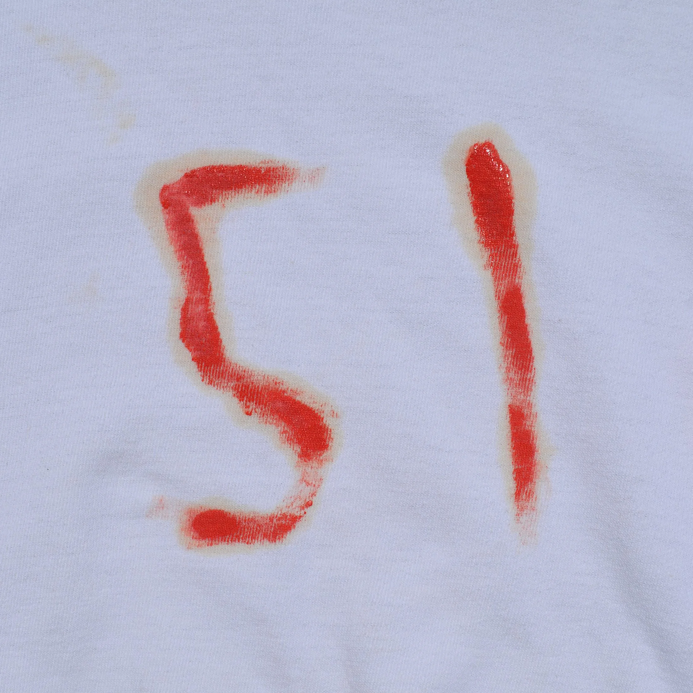 DSC_0733.png