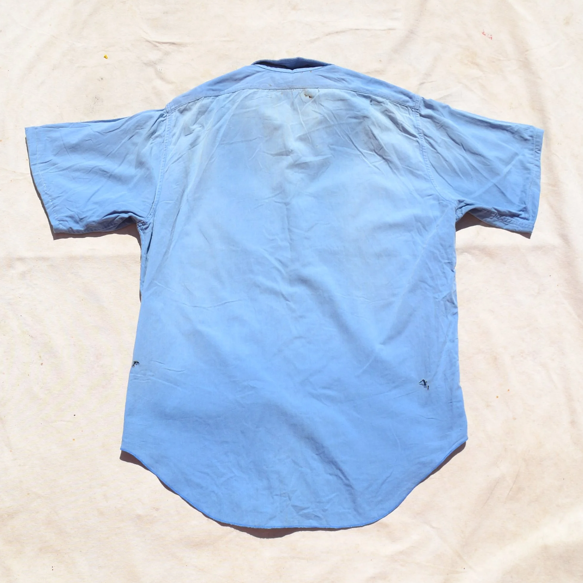 DSC_0454.png