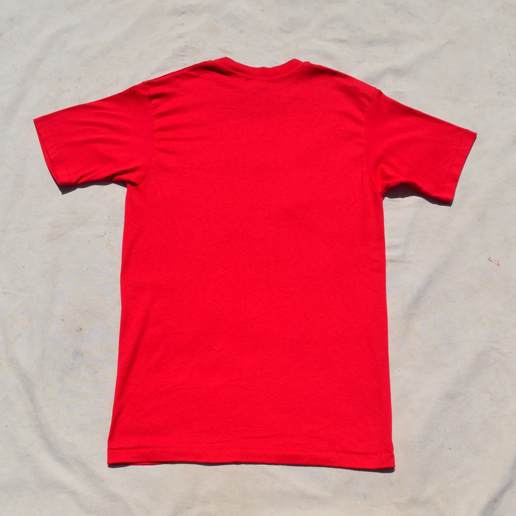 DSC_0503.png