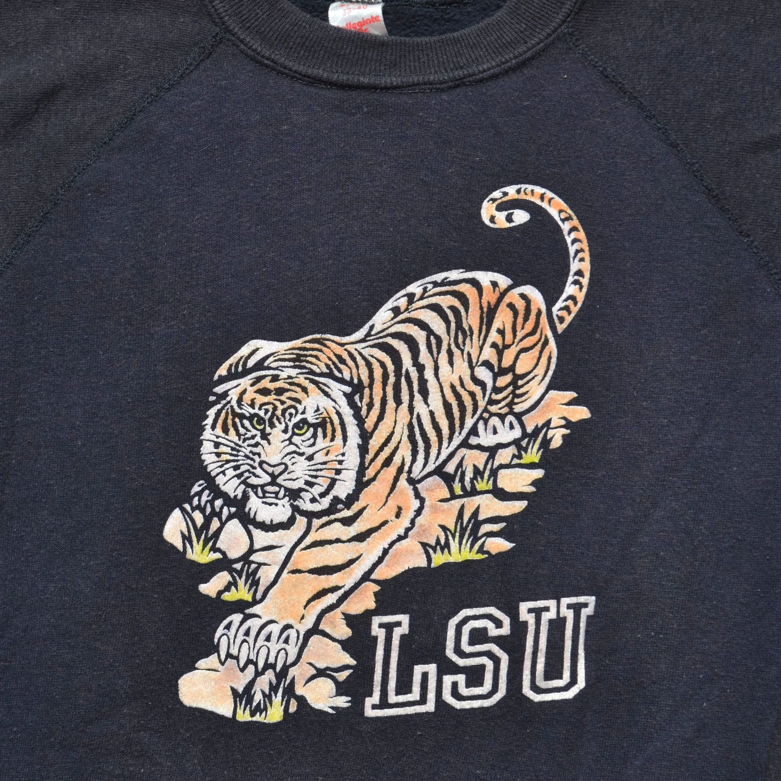 DSC_0401.png