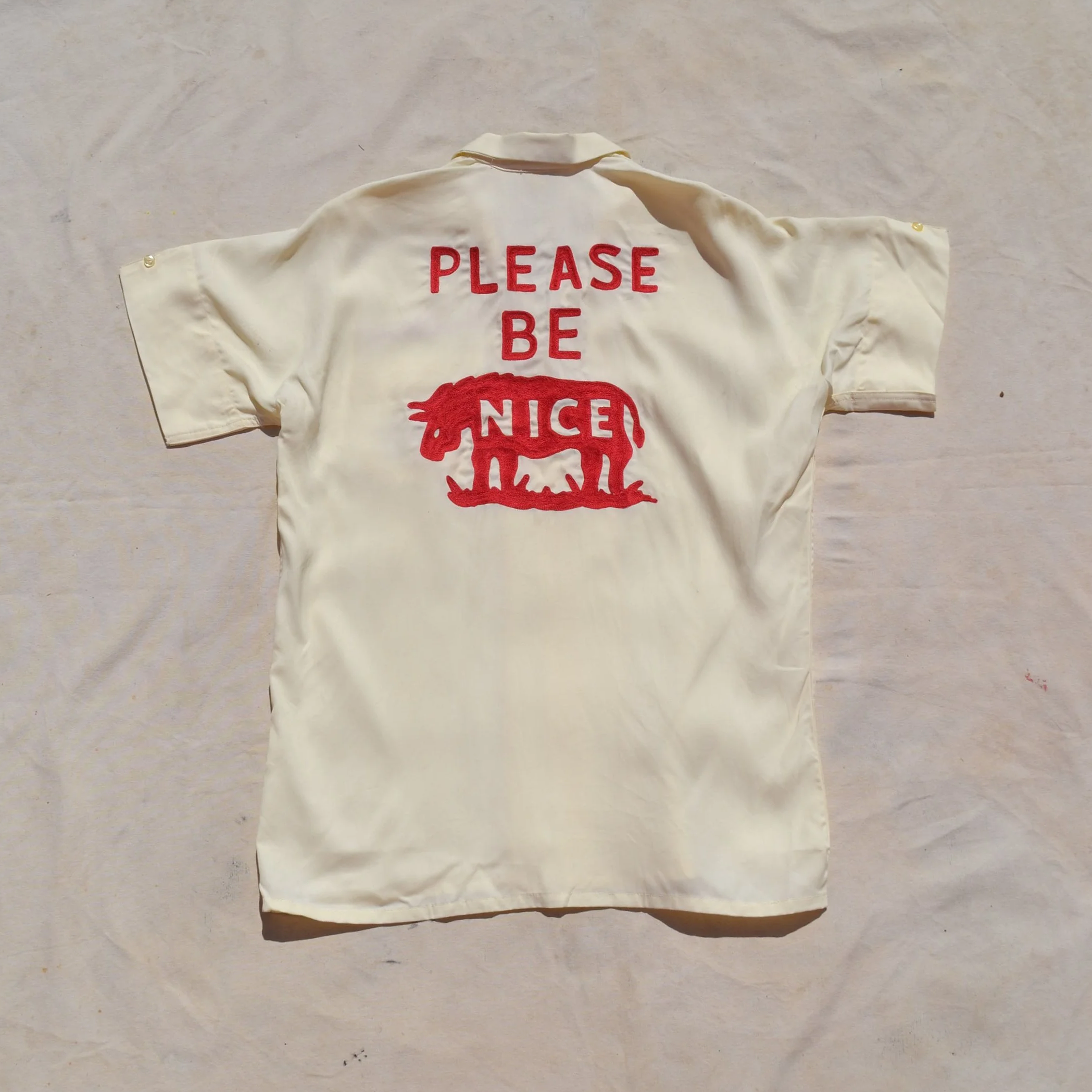 DSC_0482.png