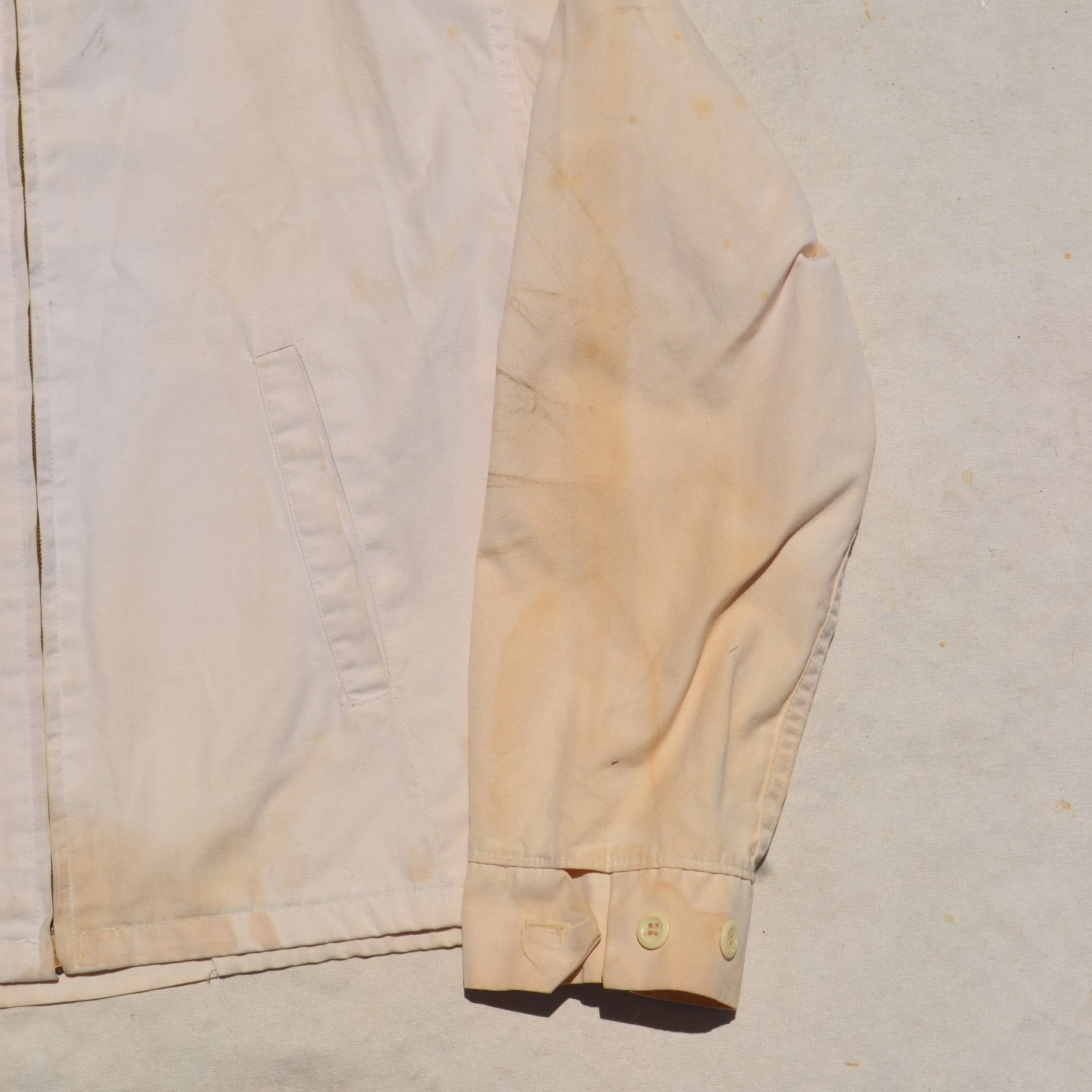 DSC_0781.png