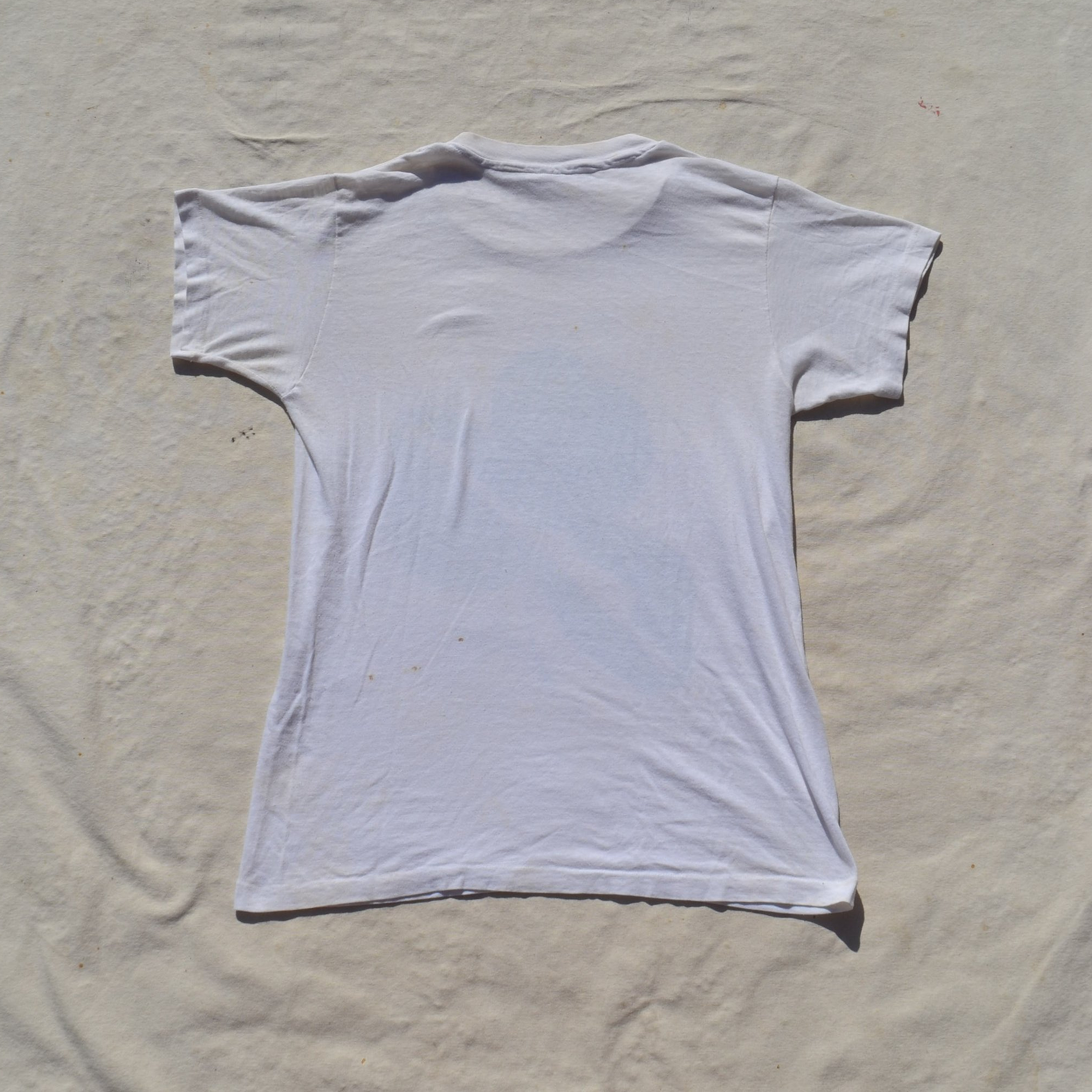 DSC_0168.png