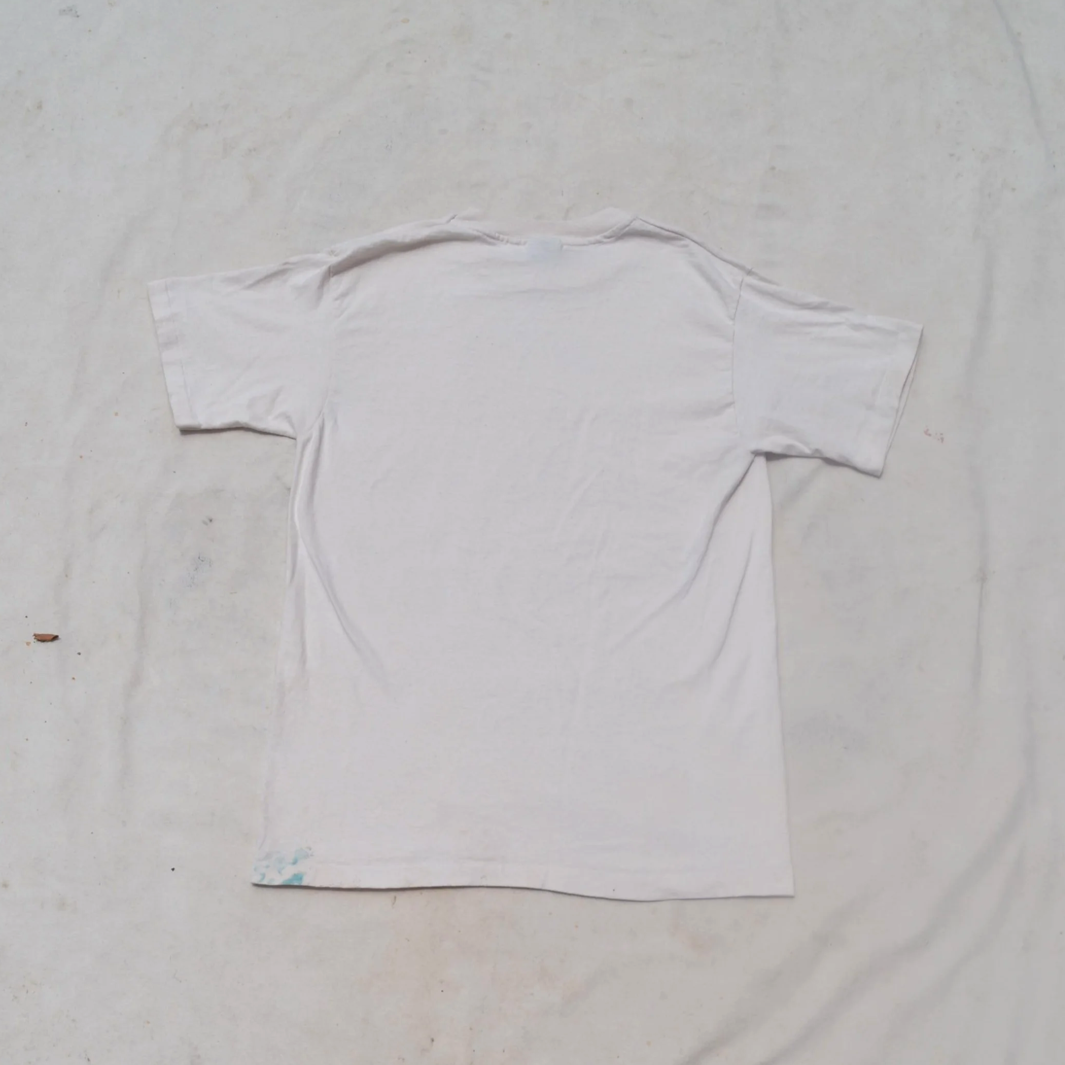 DSC_0264.png