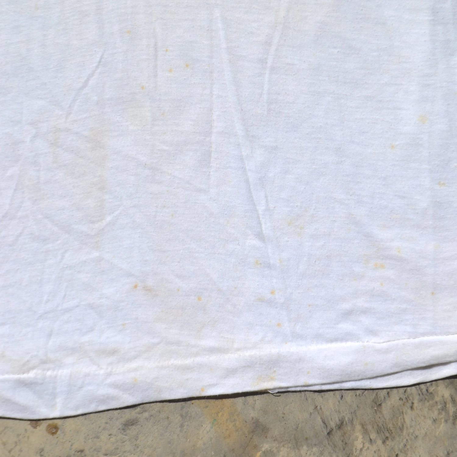 DSC_0283.png.webp