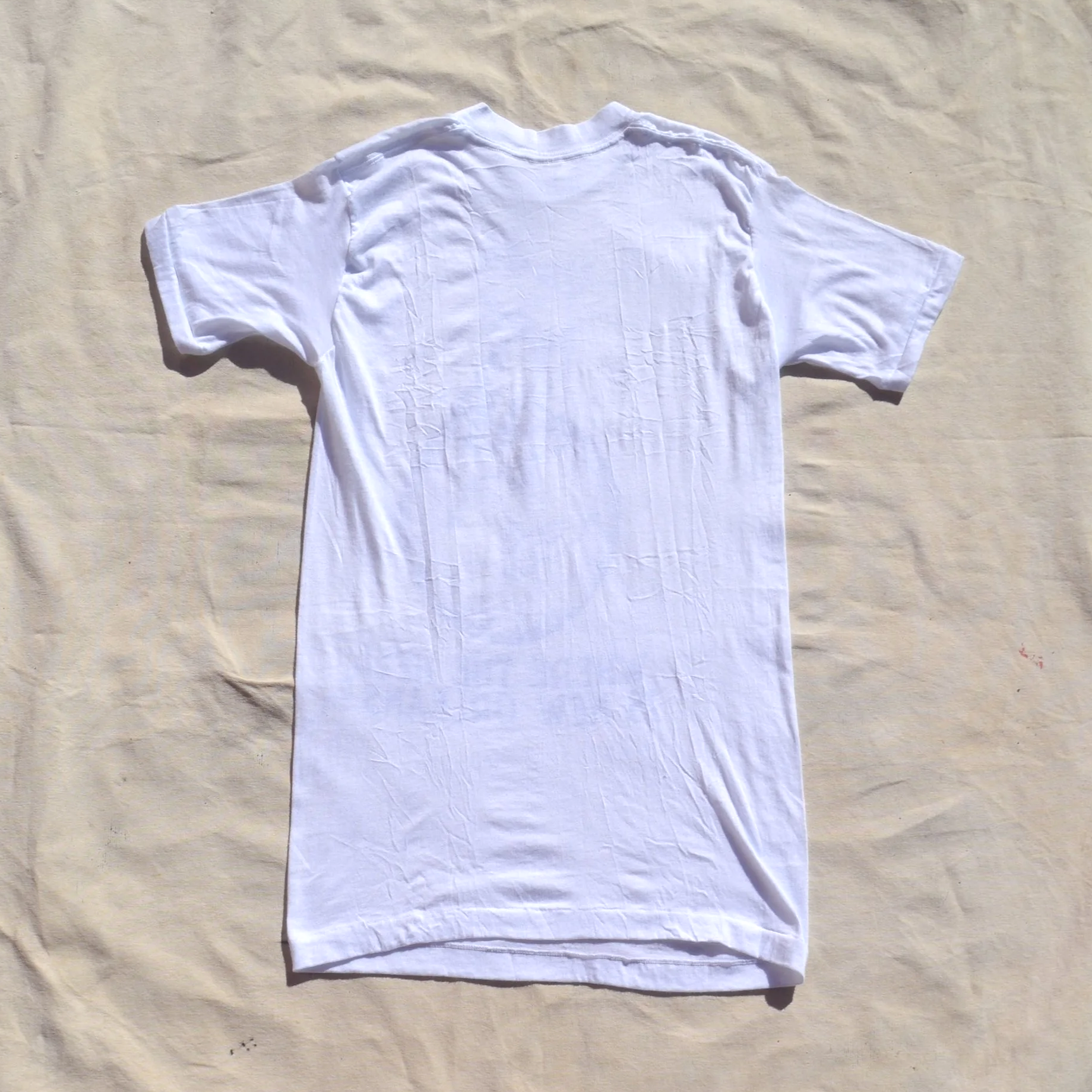 DSC_0877.png