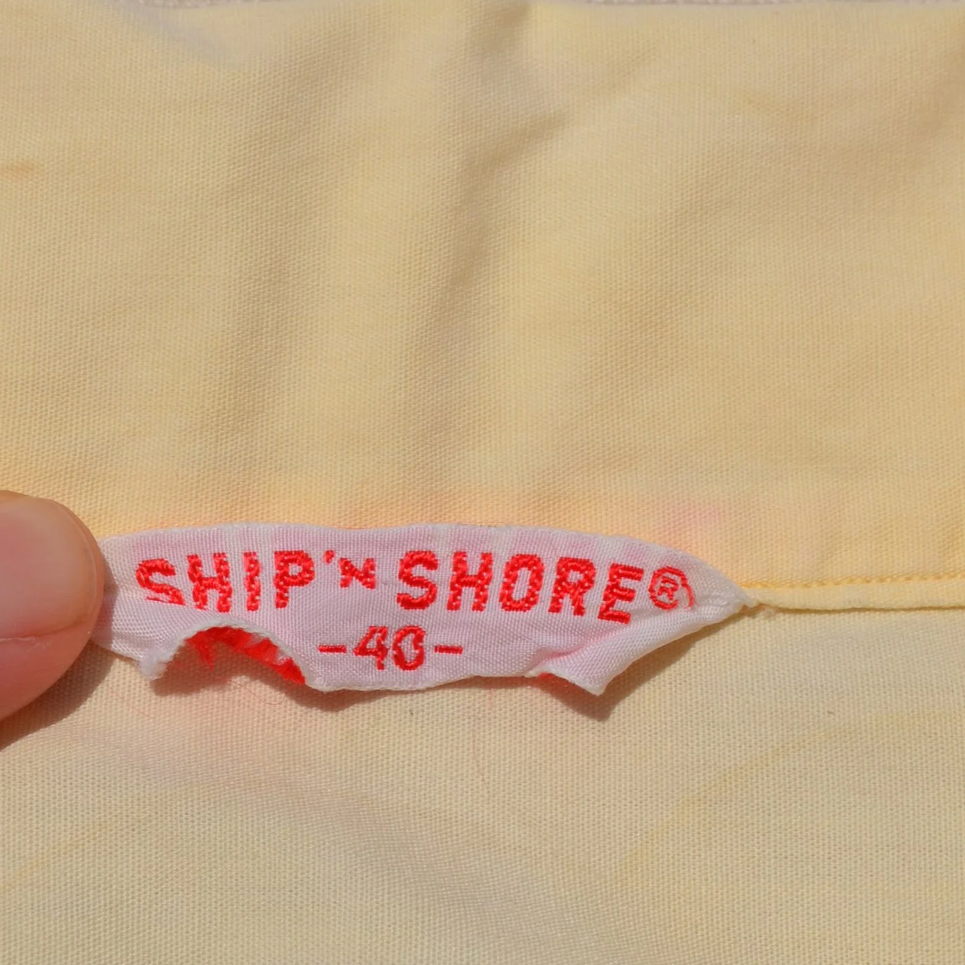 DSC_0707.png