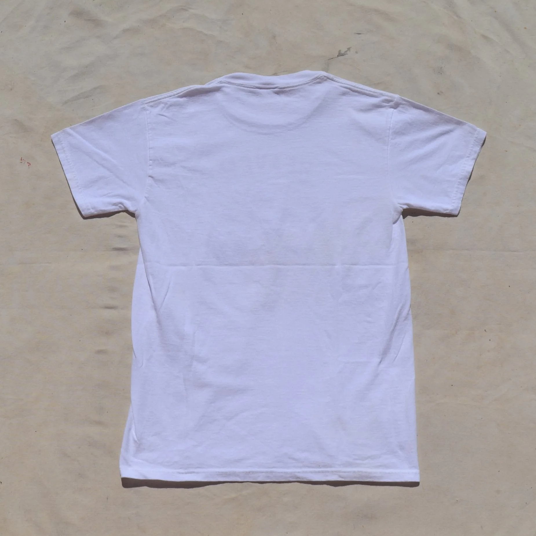 DSC_0751.png