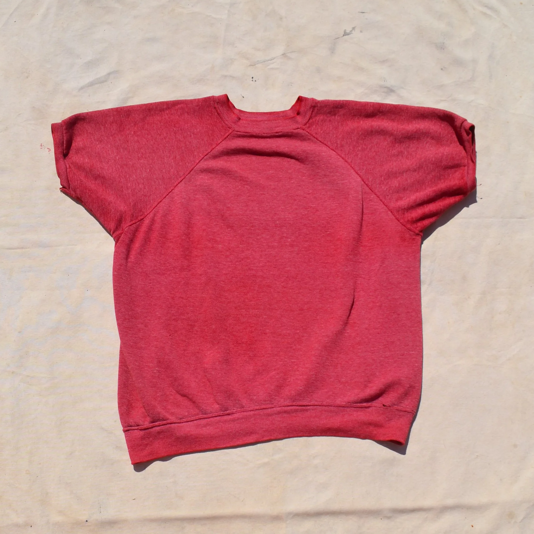 DSC_0710.png