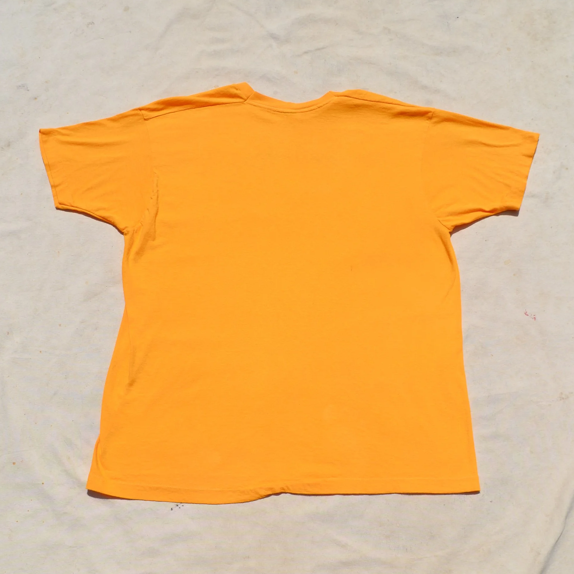 DSC_0520.png