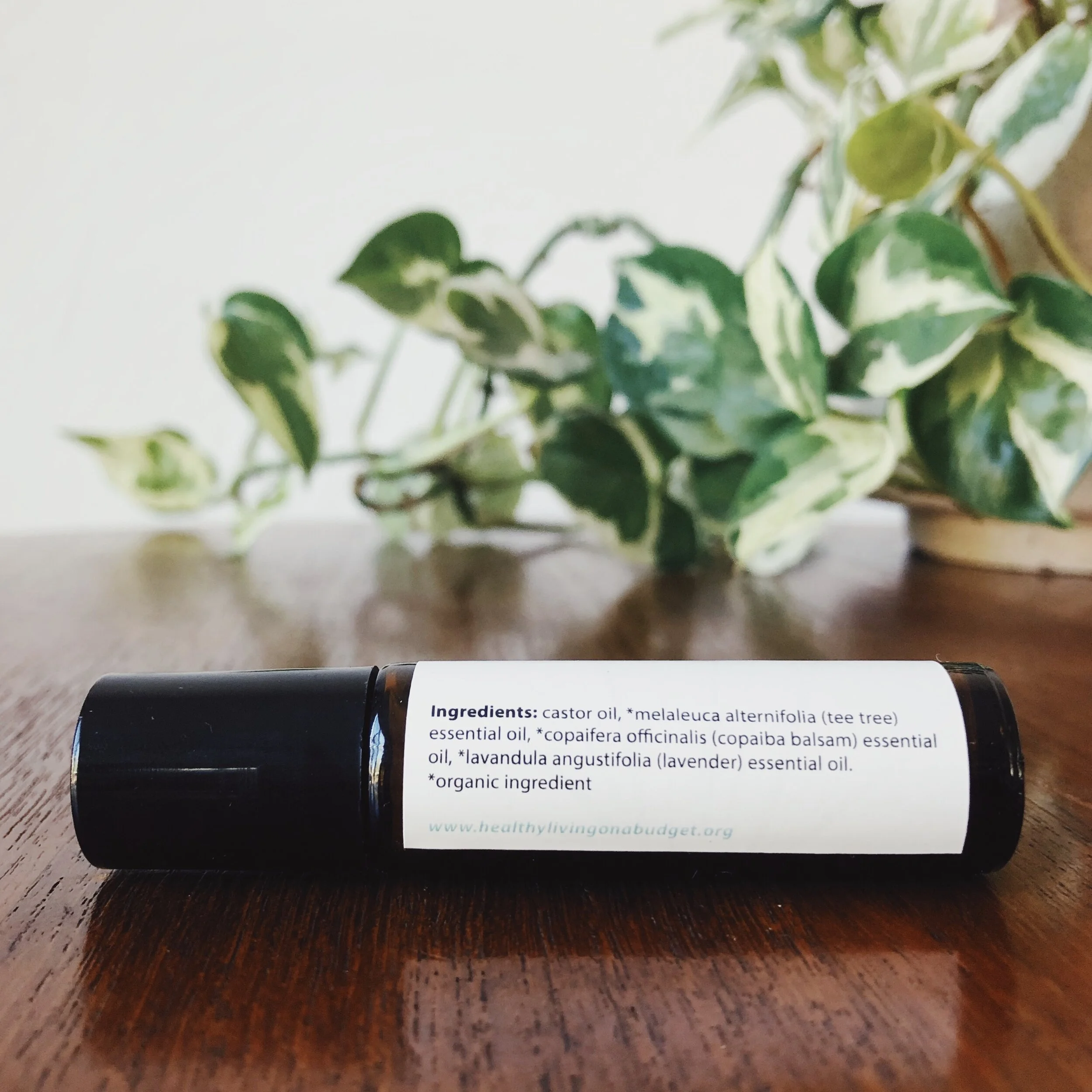 B0DF7440-A3DC-4EEF-BB6A-1C0FD9A20B4F