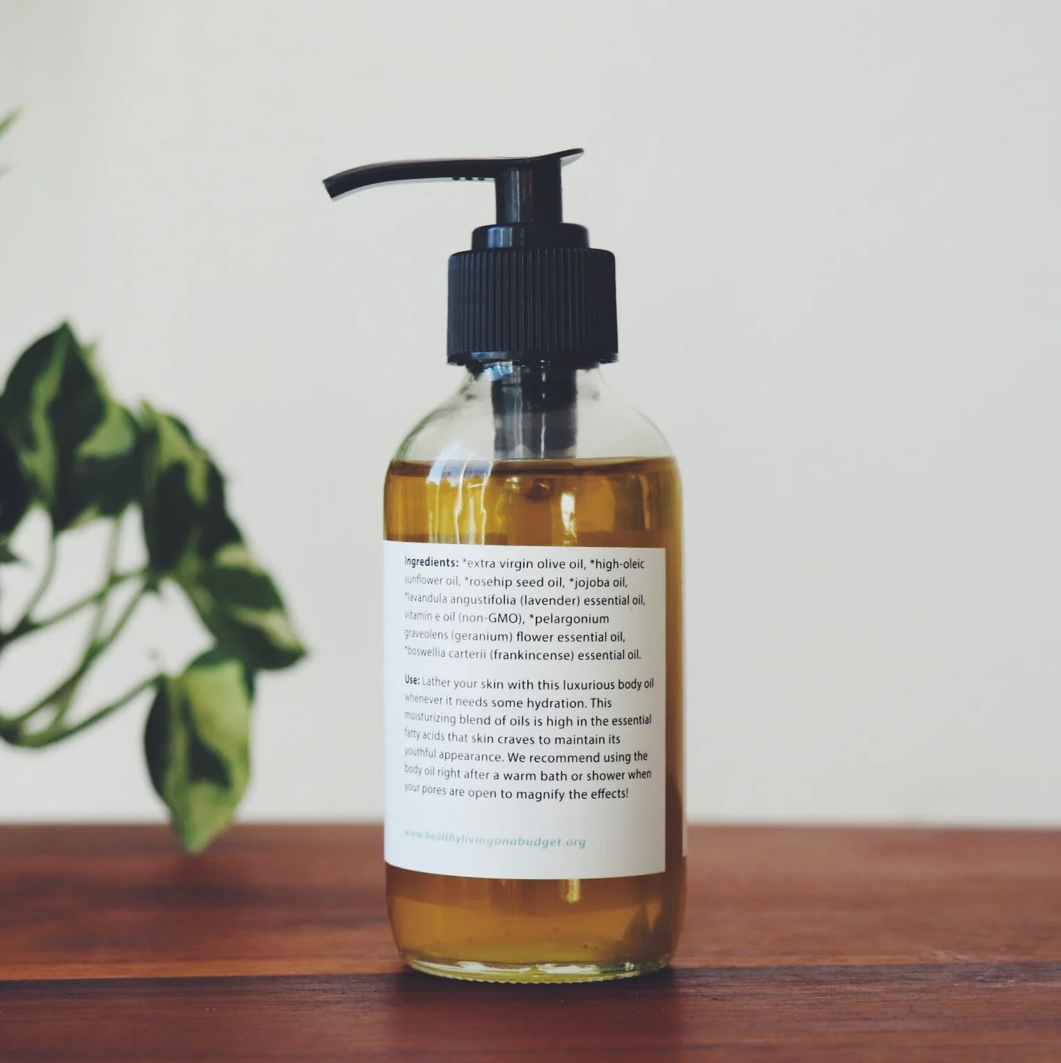 255056B0-3071-483E-B816-B0F0D48C61B5