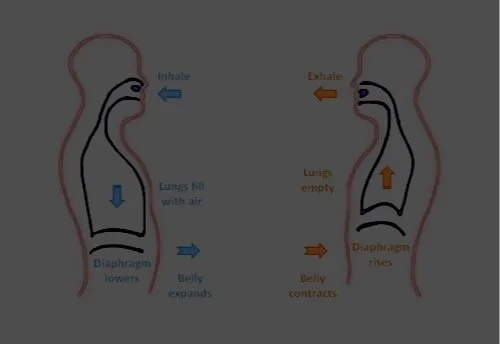 Breathing is Essential