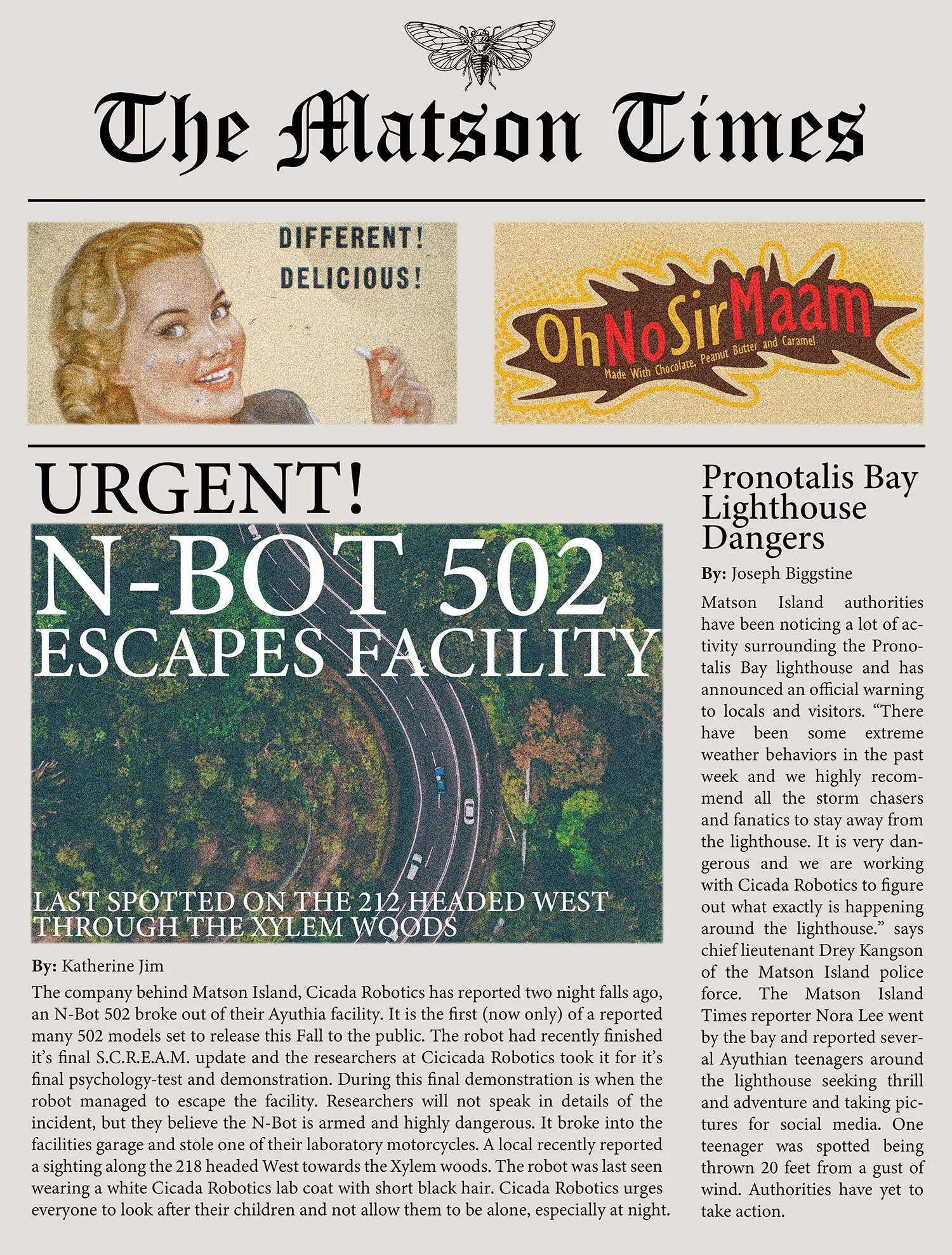 Matson Times Website.jpg