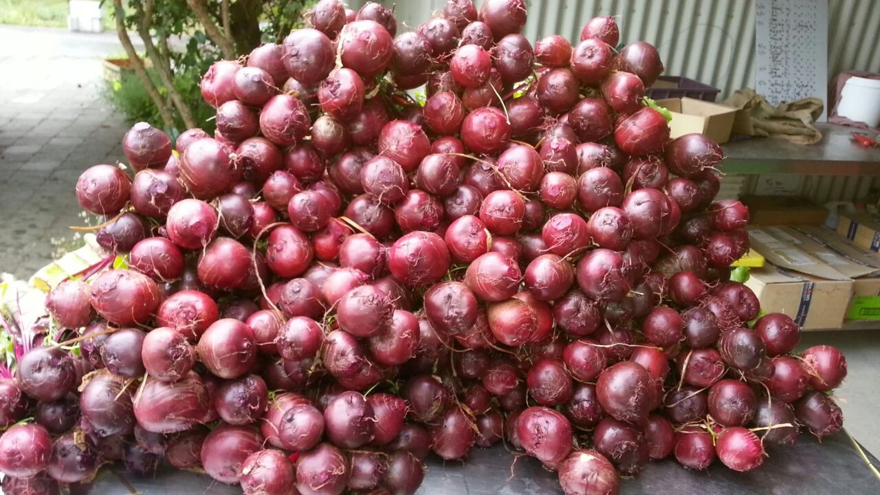 beets.JPG