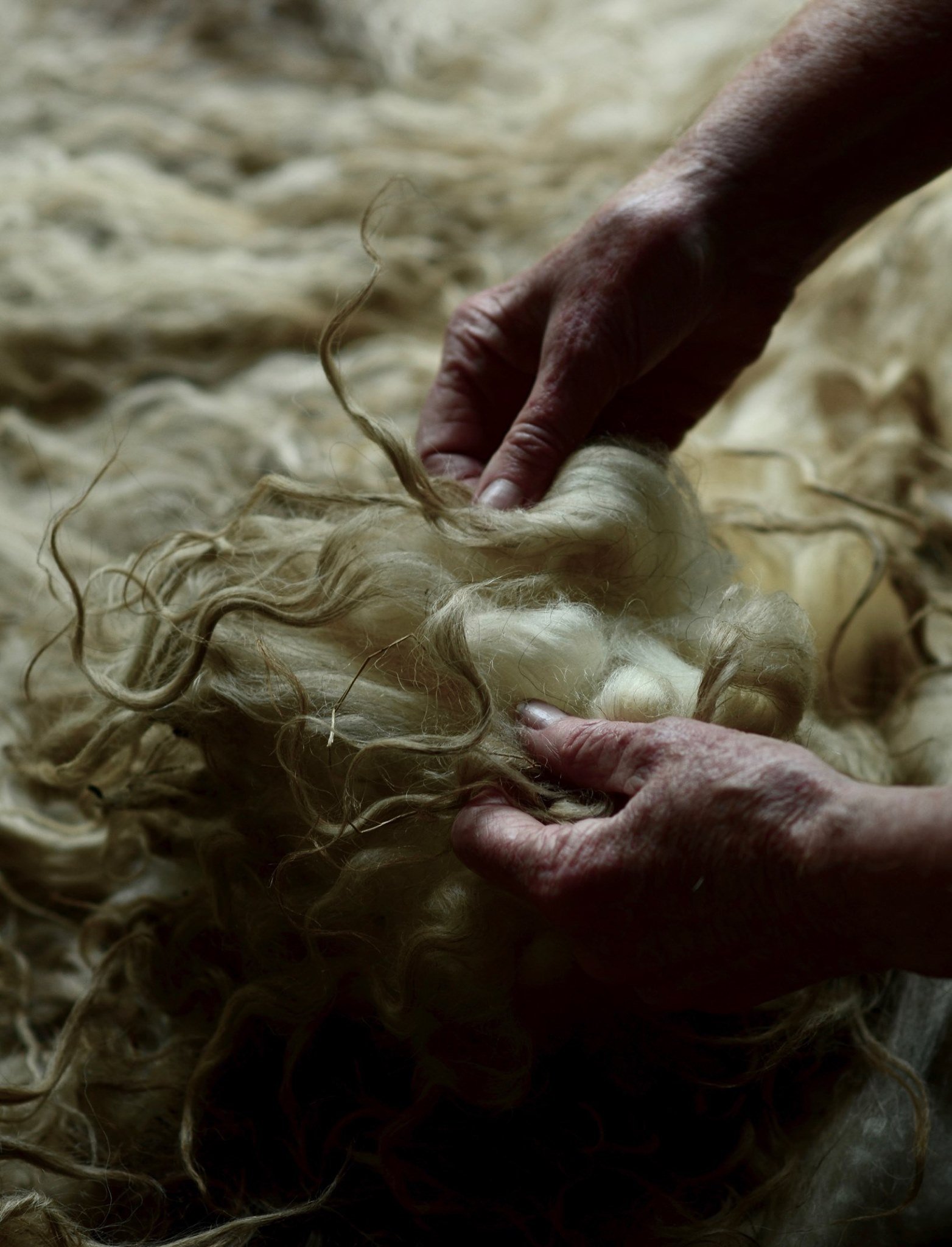 wool.jpg