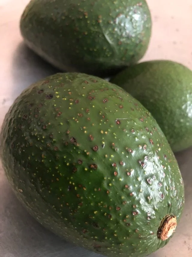 avo.jpg