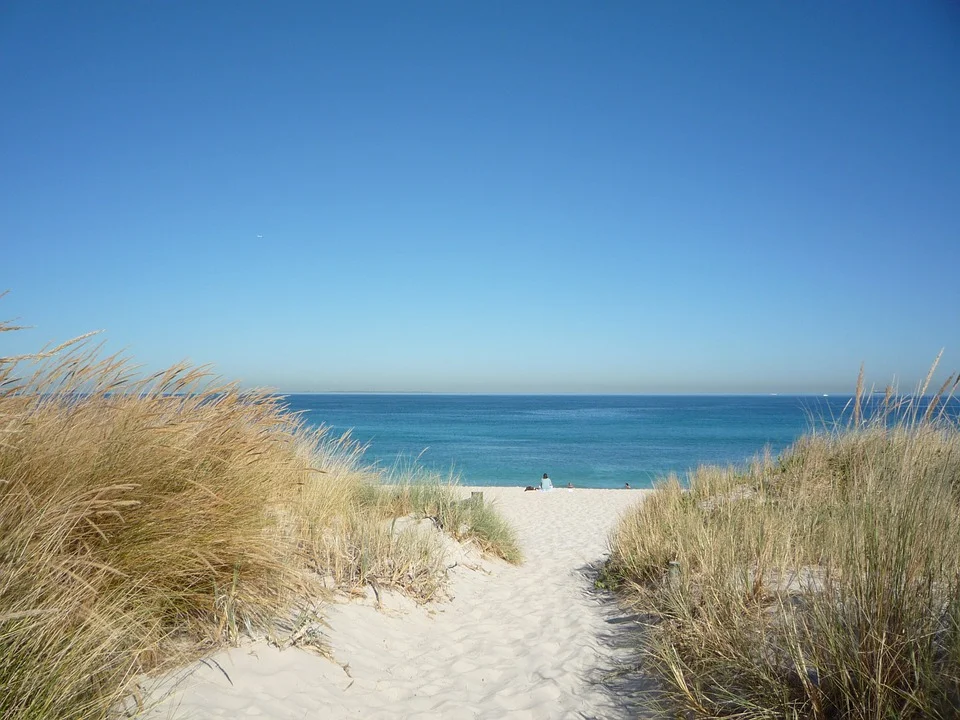 Beautiful Fremantle beach, a great place for some photos of your favourite pet