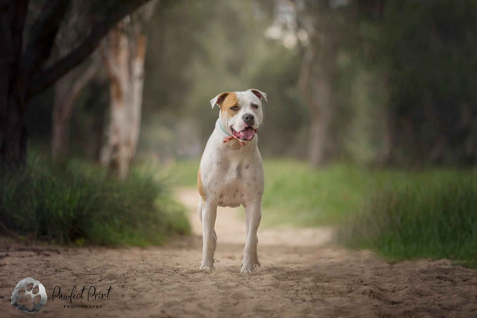 Photo session done at Sandy Beach in Perth Western Australia.