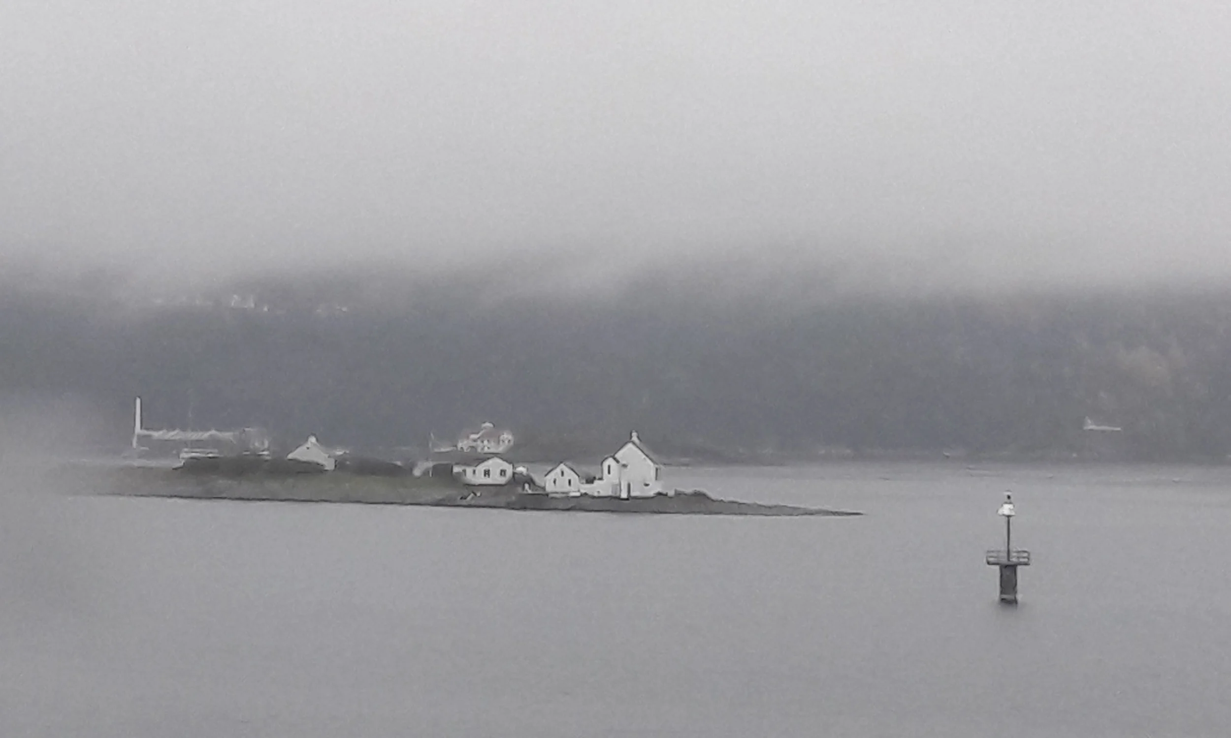 A glimpse of some of the life within the Norwegian Fjords from our cabin window.