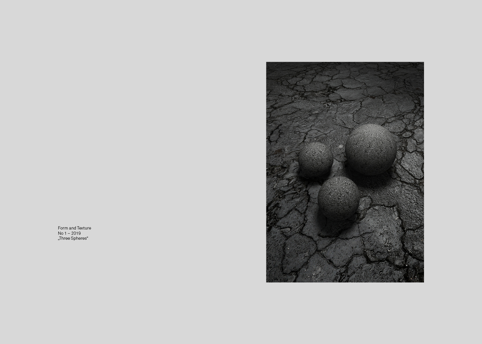 FORM AND TEXTURE.jpg