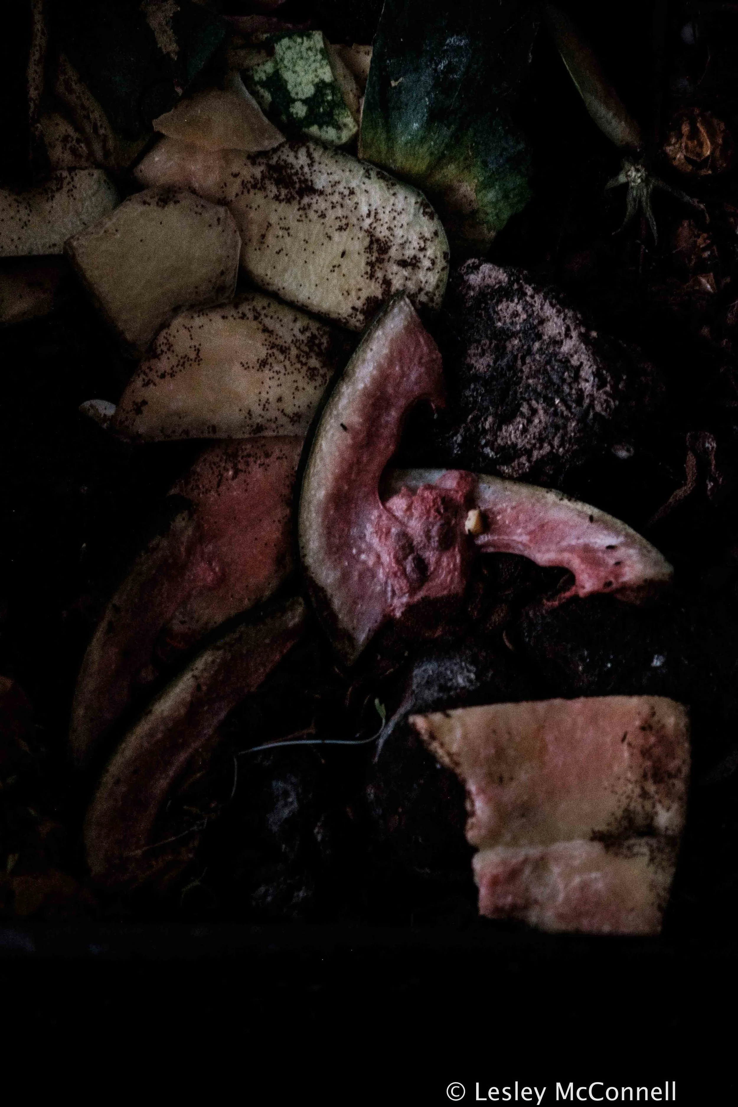 Flesh, 2017