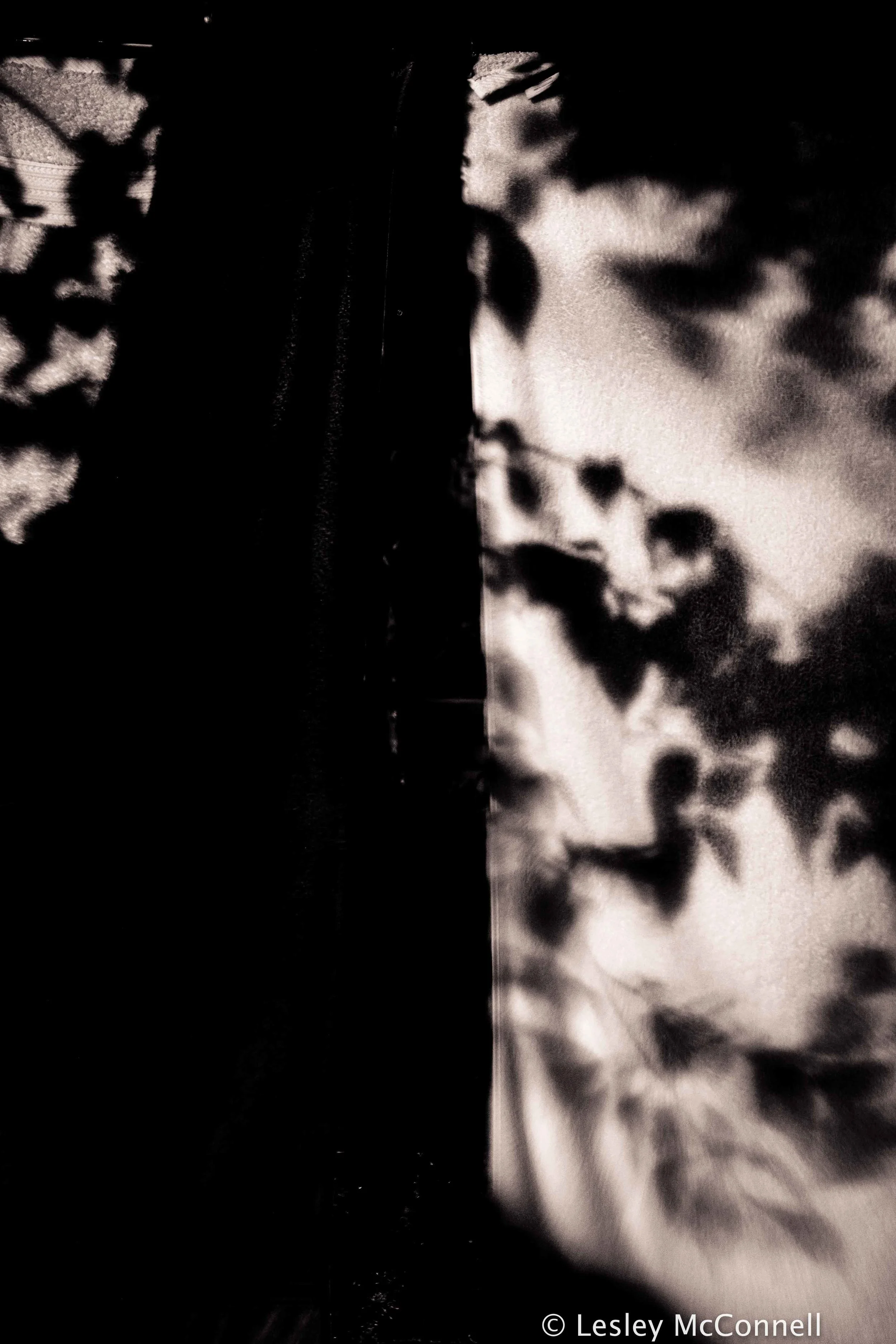 Shadow, 2017