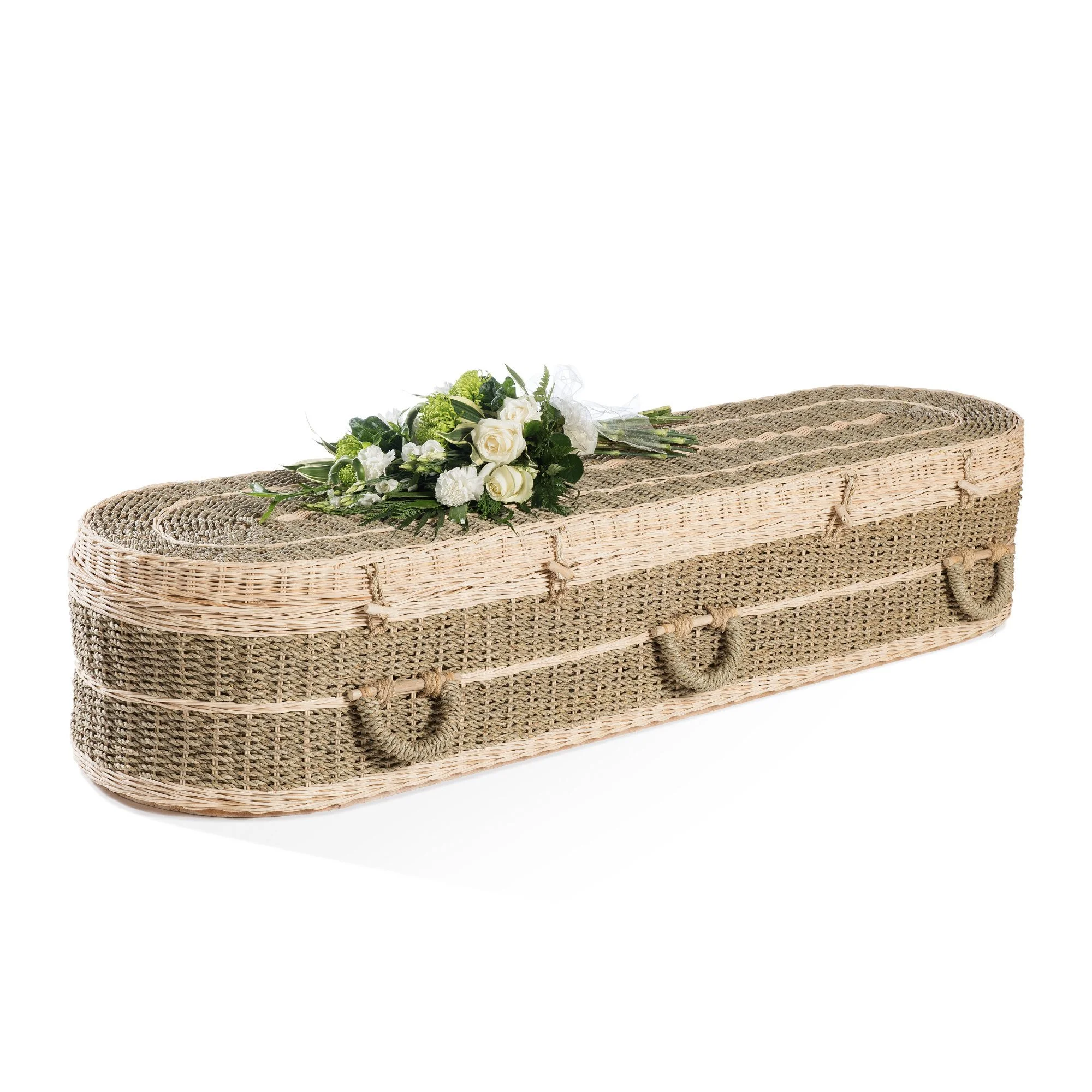 Pandanus Cardboard_lrg.jpg