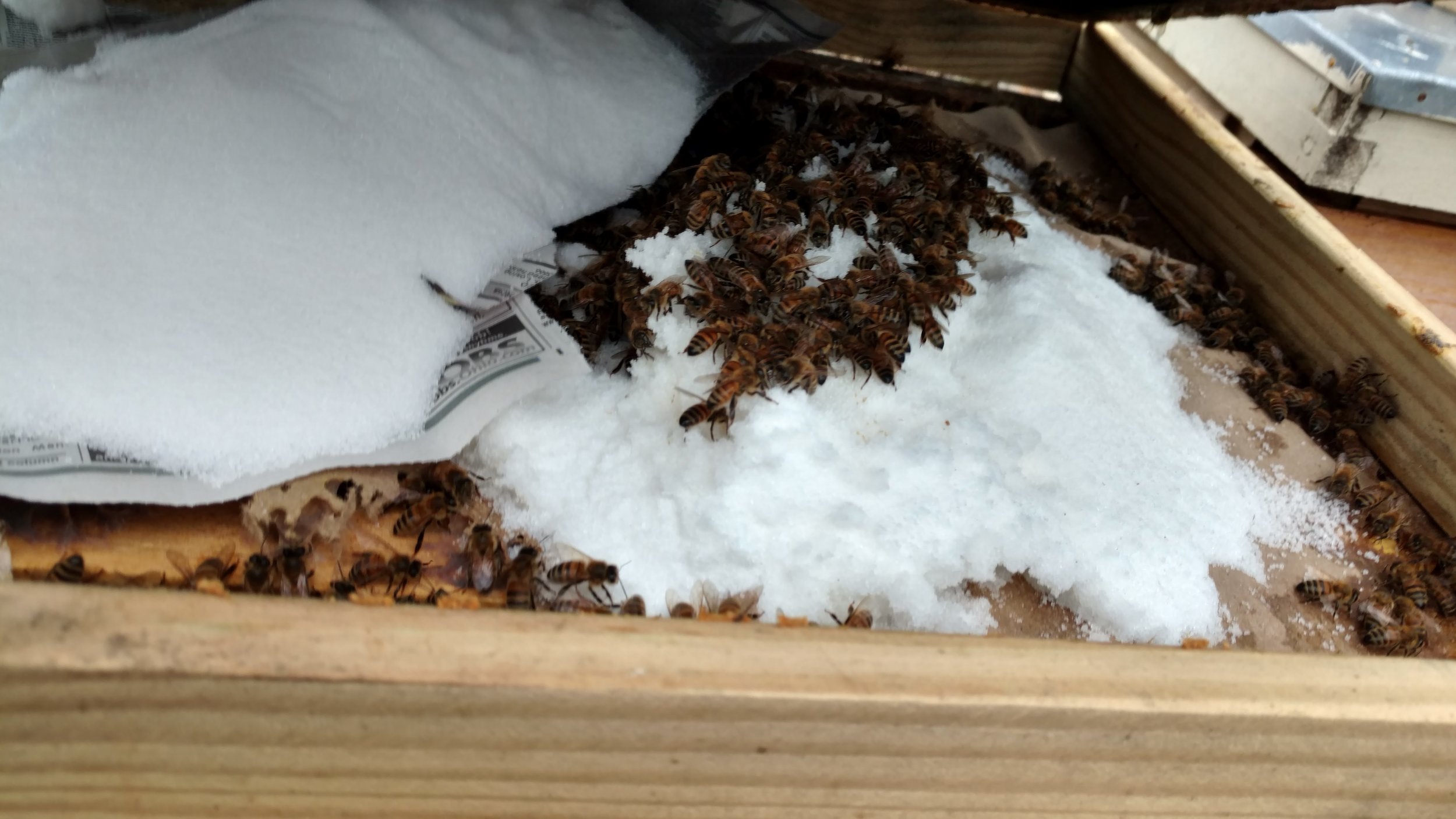 Mountain Camp (basically a "lift" made to the dimensions of a box about 1 - 2 inches high) top with newspaper placed on the top bars and can sugar dumped on top. The moisture from the cluster is absorbed into the sugar and the bees will eat this as emergency feed.