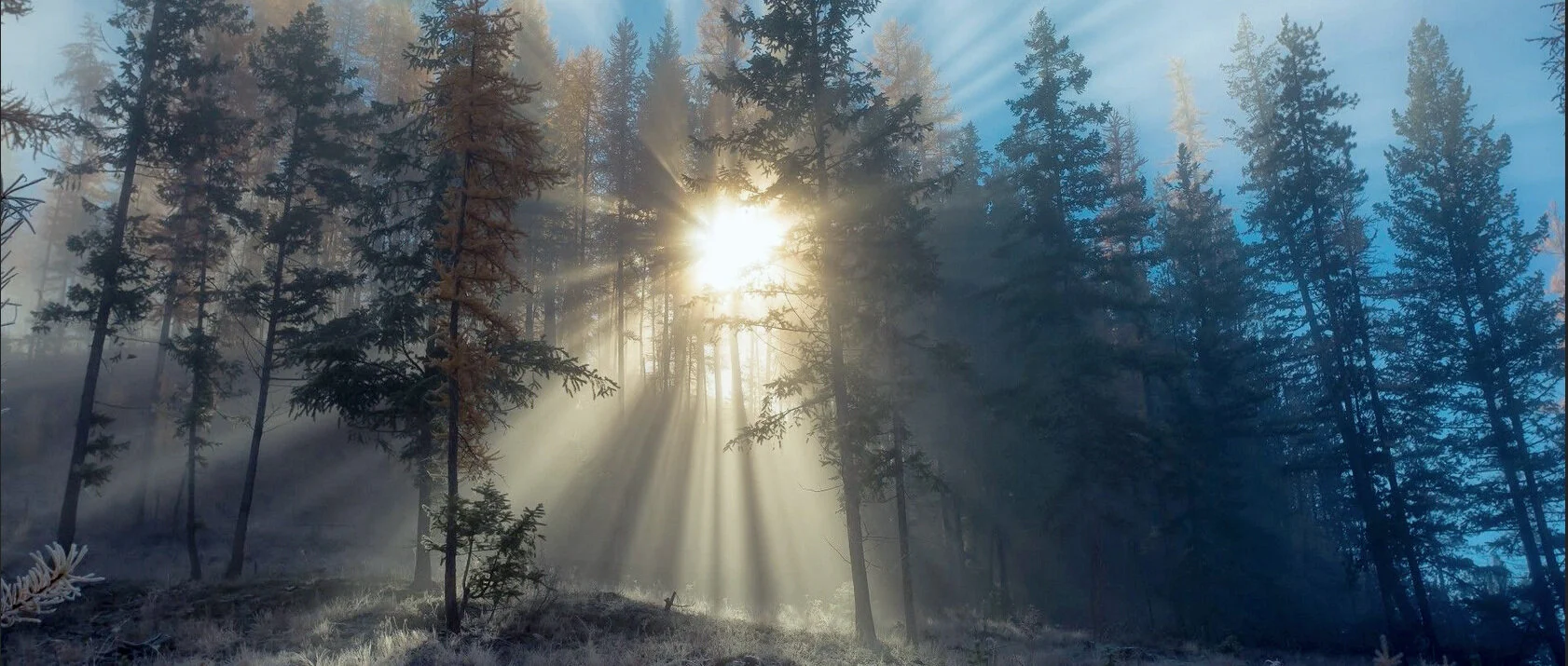 EvergreenSun.jpg