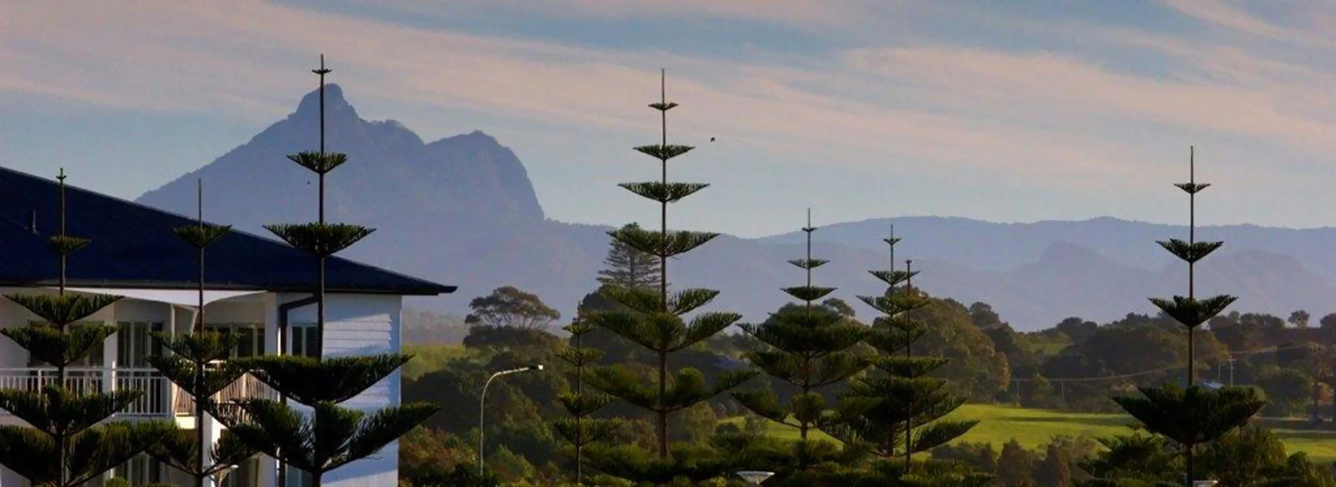 mt-warning.jpg