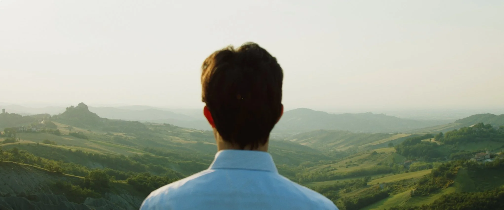 Galloni - The Prosciutto