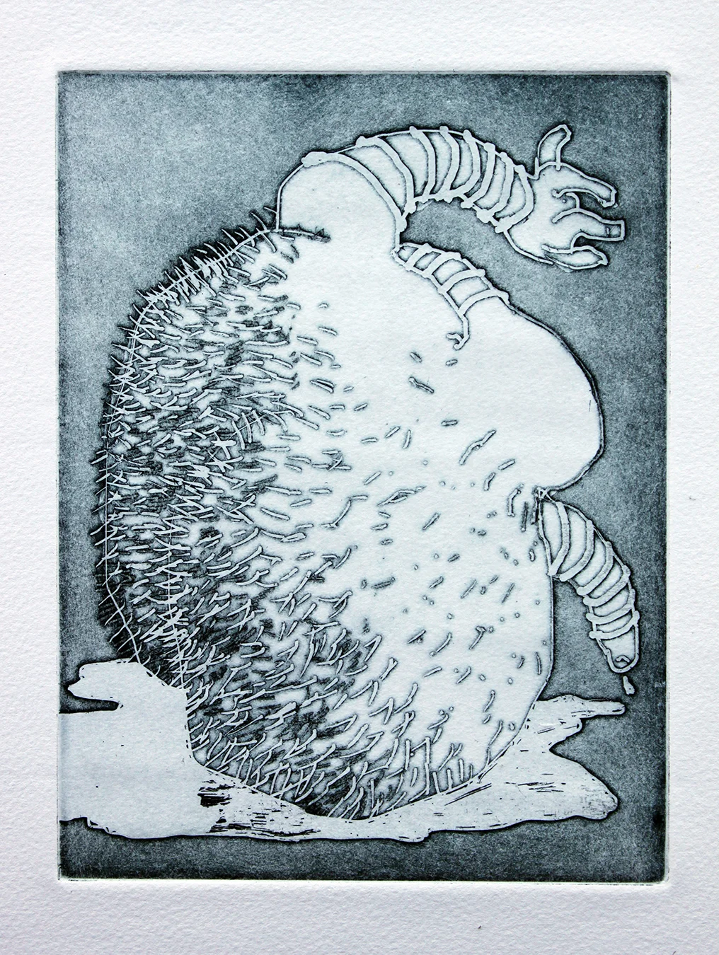 I got nervous, Sorry (2013) 7"x9"