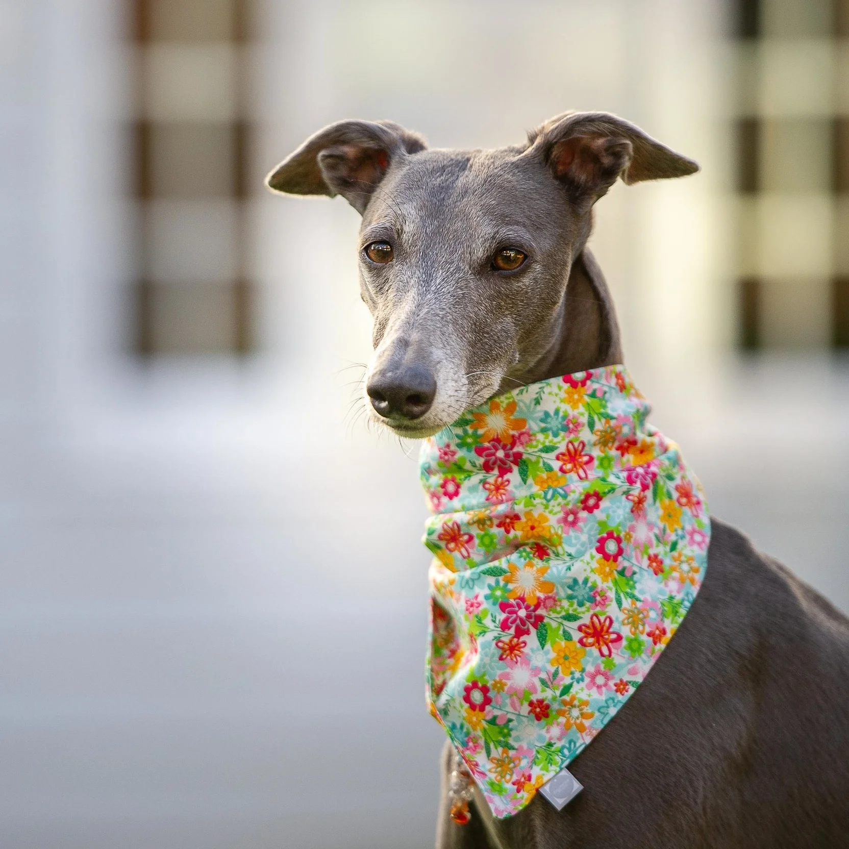 Dog Bandana in 'Funky Flowers' fabric