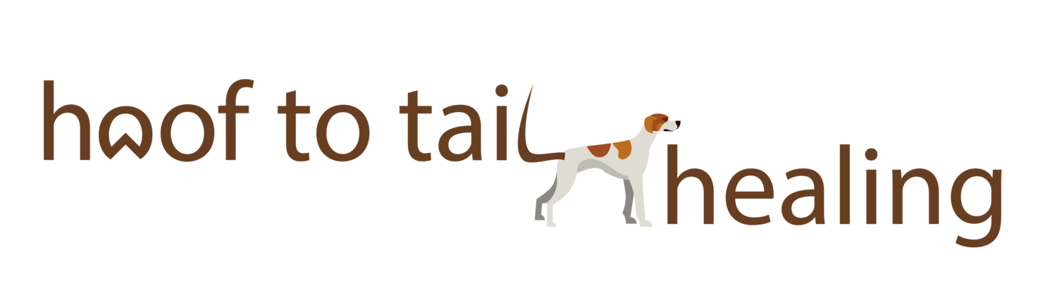 hoof+to+tail+transparent.png