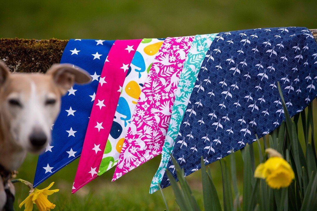 Did you know that if you can't find the perfect dog bandana material on my website, I'll try and source one for you? Although we do have some fab fabrics already!!

Dee x