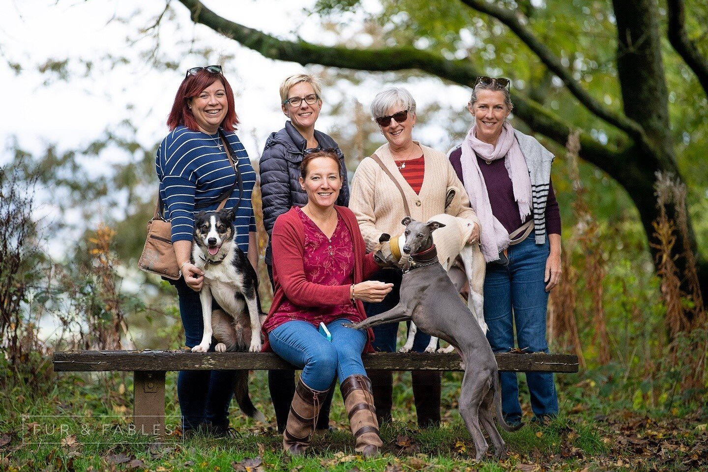 Have you become friends with someone you have met on social media? I'm super lucky to have met some amazing people &amp; dogs who have become friends, including these ladies who all also run small dog brands!

Pre-covid we would try and meet up once 