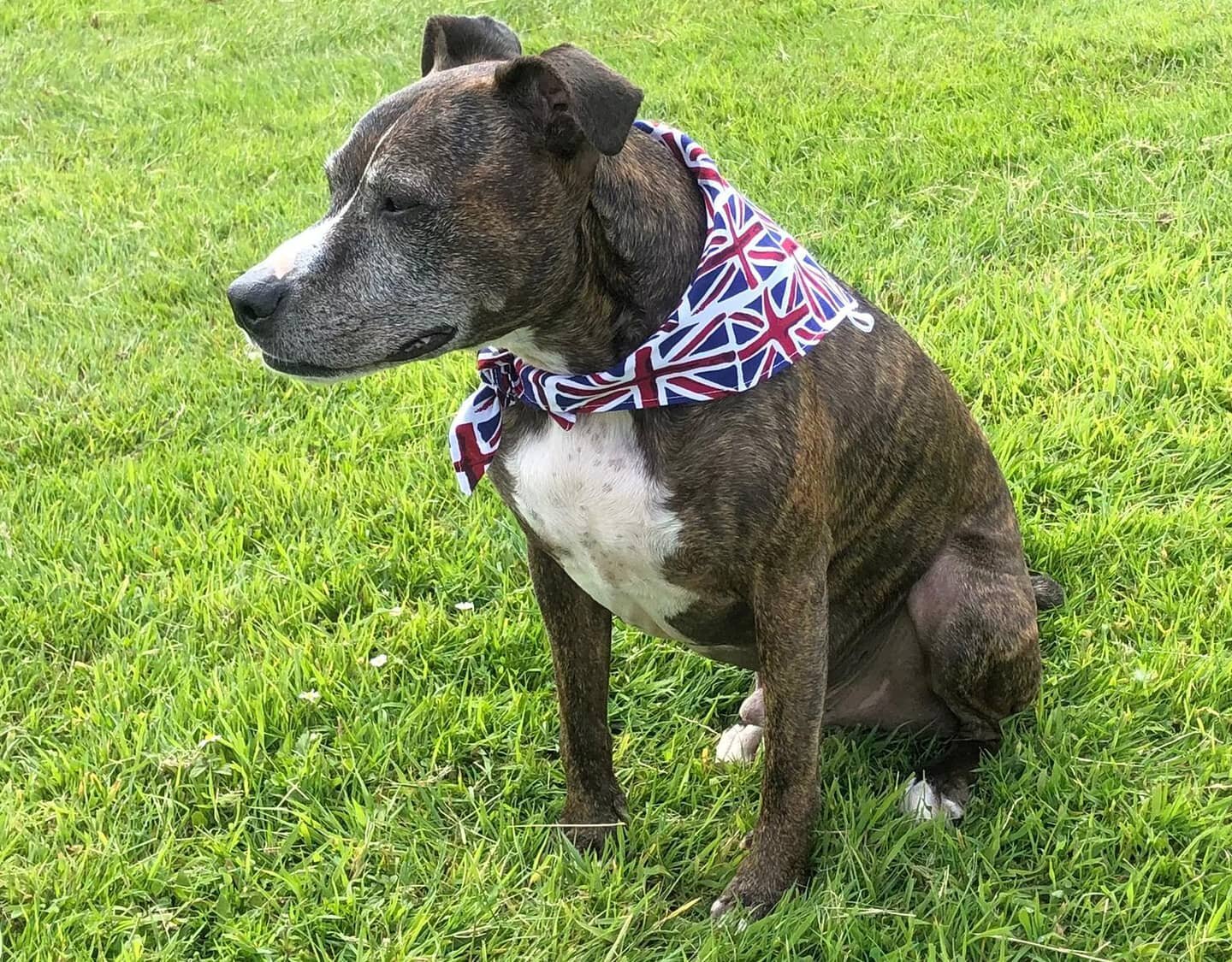 Ok, I admit it, I'm not a football fan. So while my family are downstairs watching the match this evening,  I'll probably be sitting in bed with a cup of tea and Netflix.

I do wish us well though and Aston will be wearing his union flag bandana with