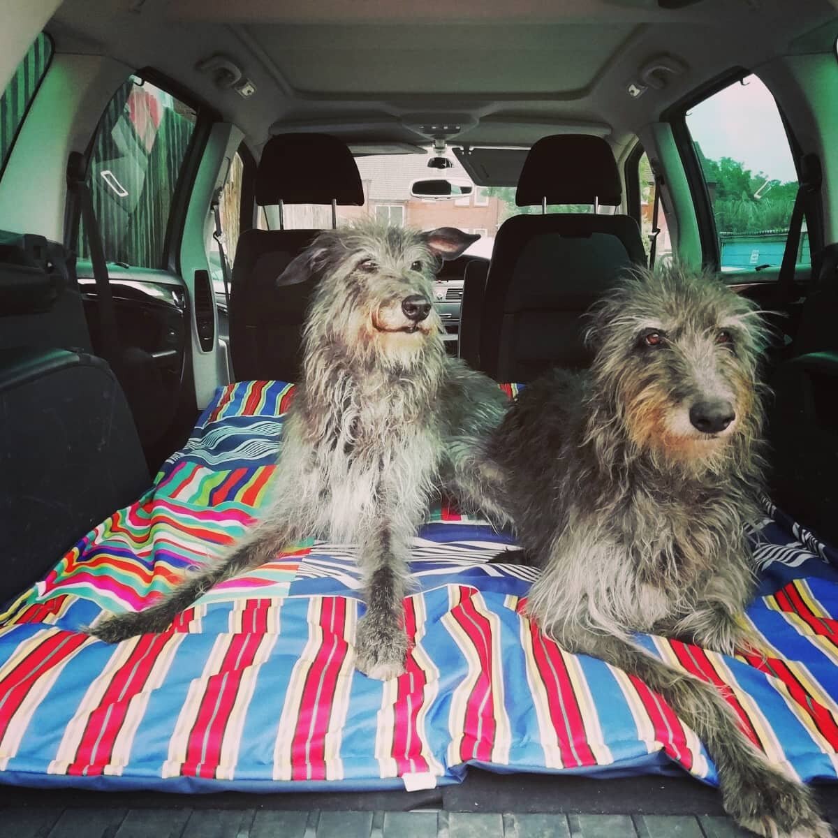 Sometimes you just gotta go BIG! 

Dora and Alice, prepped and ready for their staycation with their GINORMOUS travel mat and boot liner, are ready to hit the road. 

Have fun girls! 

Want to chat about your bespoke project? Please get in touch.