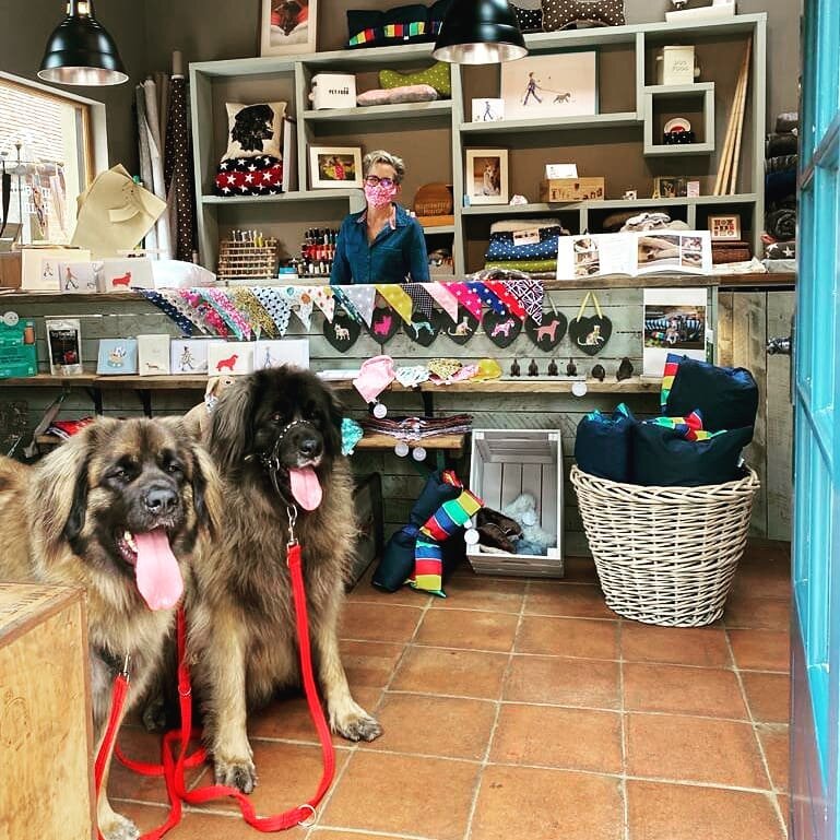 I get some amazing visitors in my shop and it's always a treat to have Juno and Lola come big Leonberger cuddles. 

Are we dog friendly? You betcha!!

Doors open today from 10.30, so come and say hello. 😊