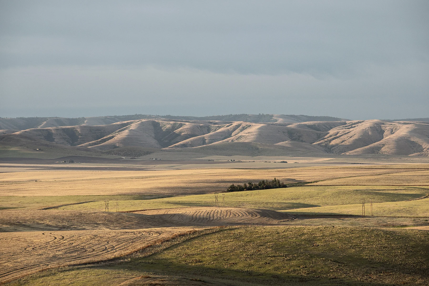 Idaho
