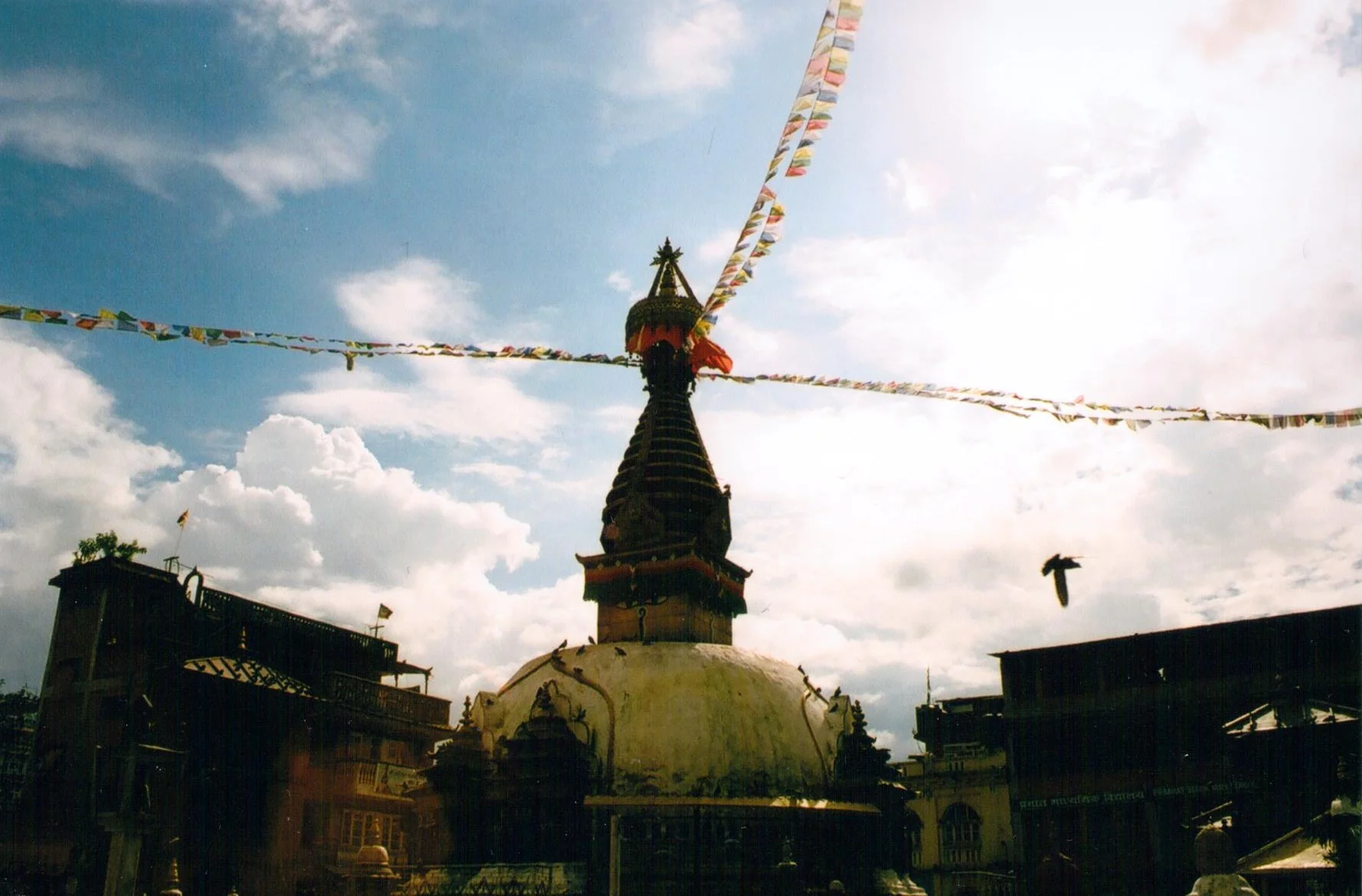  July - September 2014  Kathmandu, Pokhara, Jumla  Co-Cinematographer | Stills Photographer 