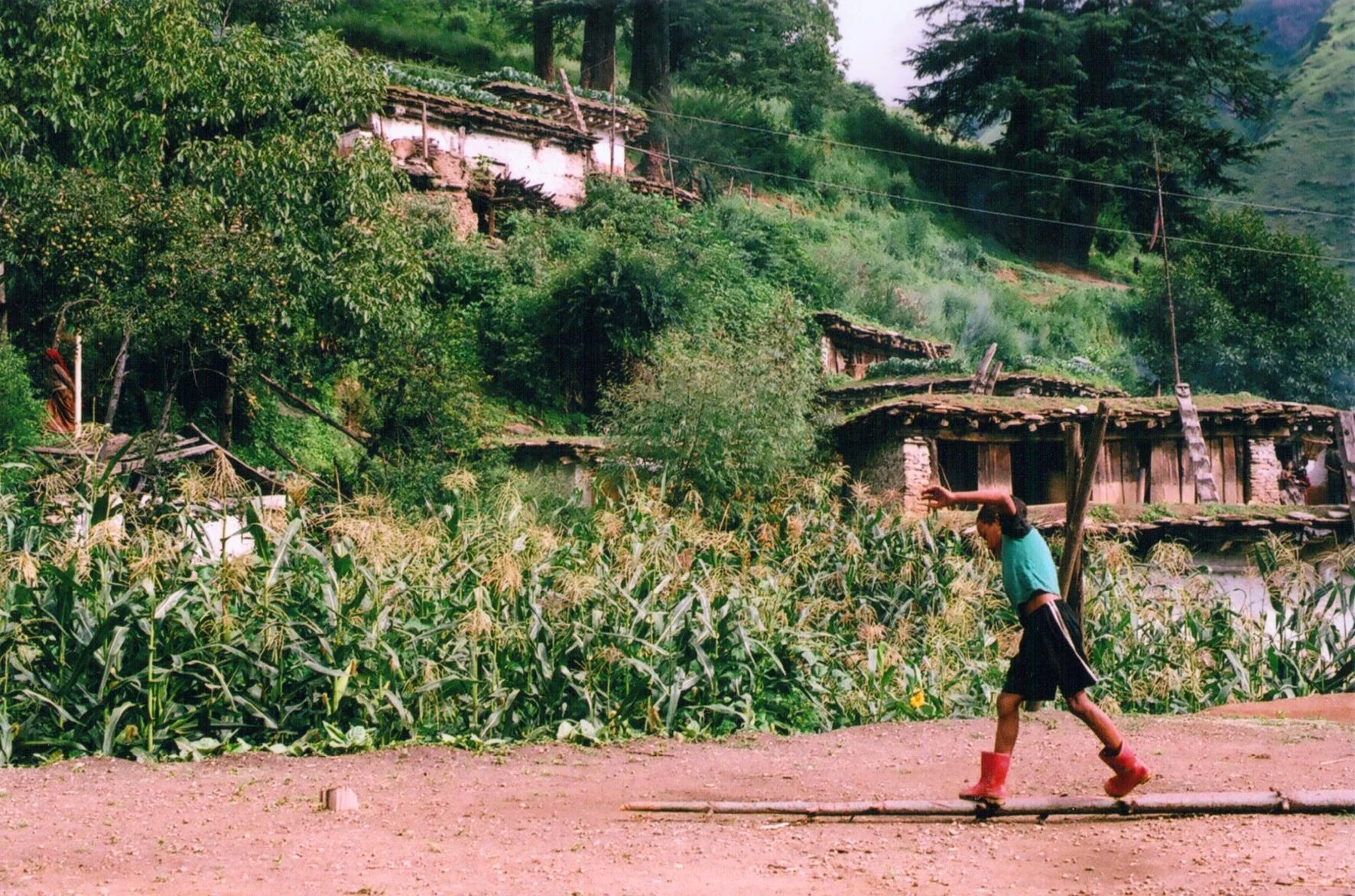  July - September 2014  Kathmandu, Pokhara, Jumla  Co-Cinematographer | Stills Photographer 