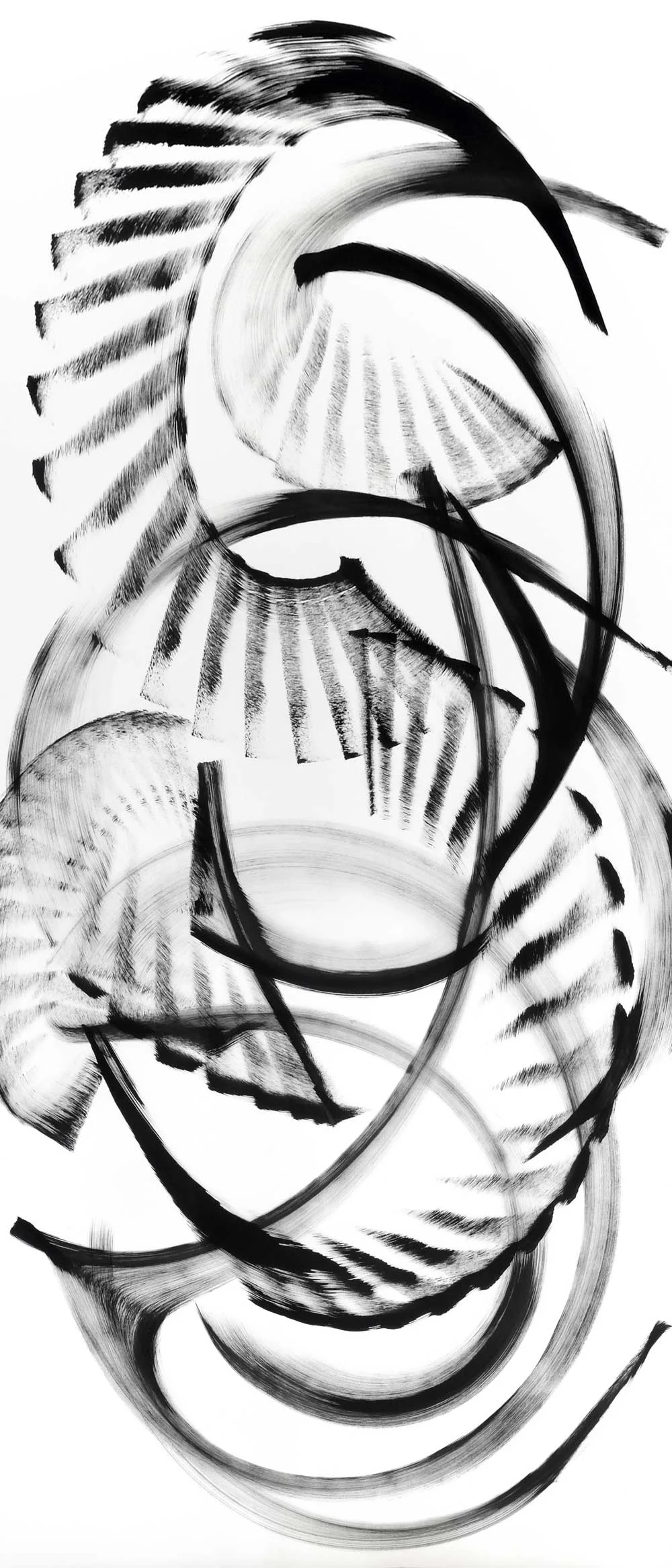 Ochrosia-fatuhivensis, ink on paper, 70" x 30"