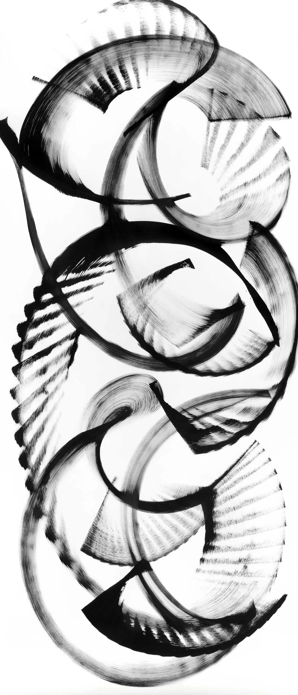 Ochrosia nukuhivensis, ink on paper, 70" x 30"