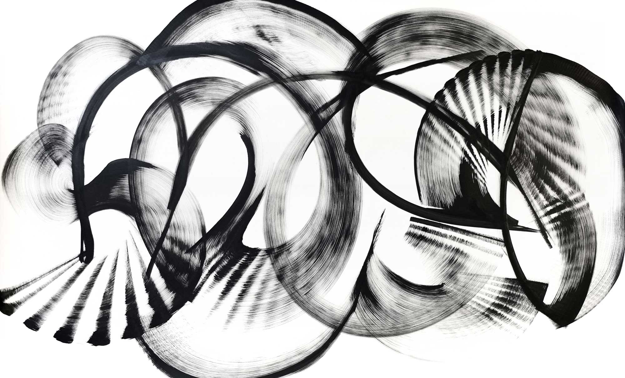 Orbexilum macrophyllum, ink on paper, 40" x 66"