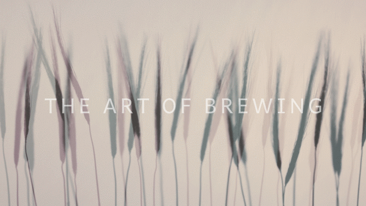 Art_Of_Brewing_With_Title+Audio.gif