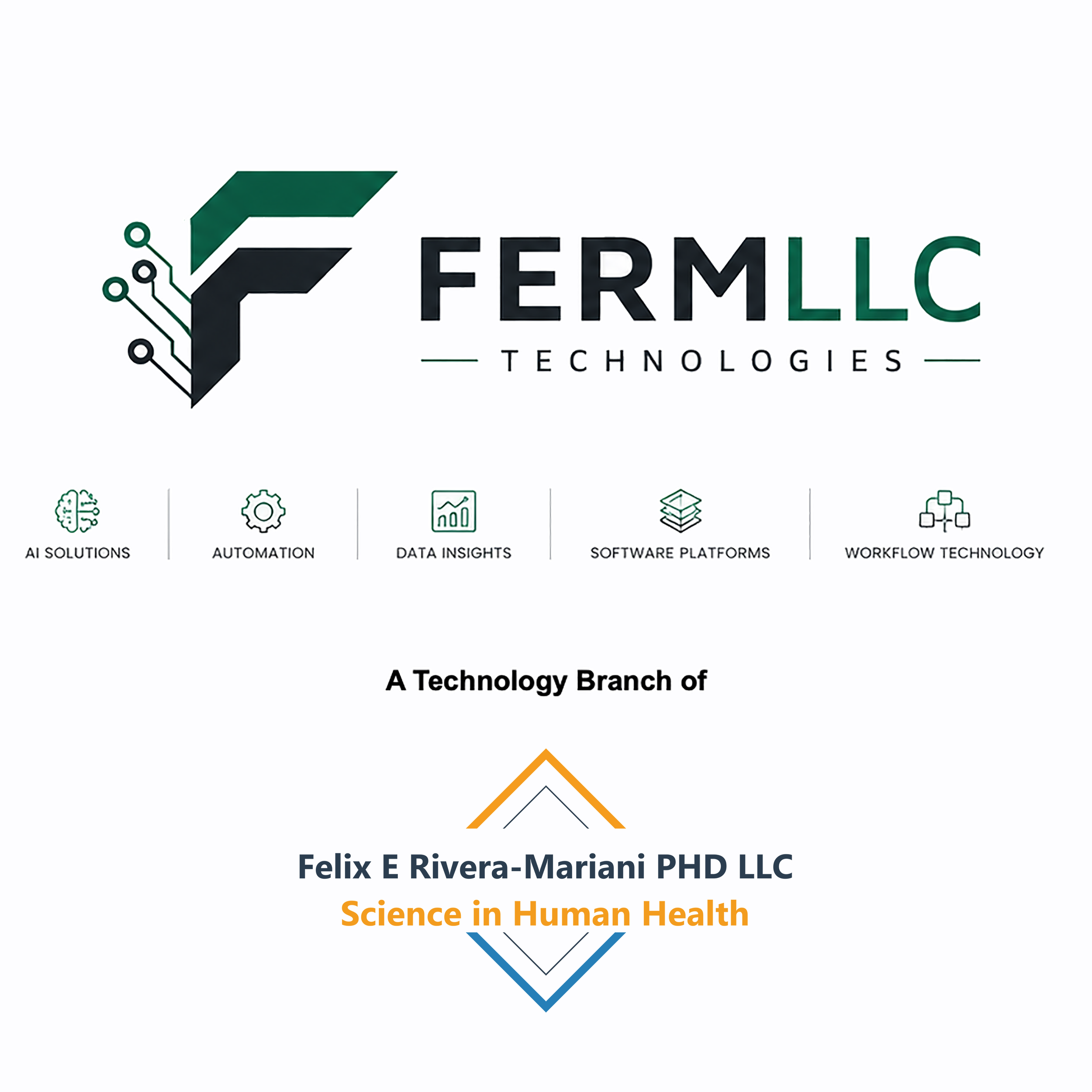 Launch of FERMLLC Technologies: a technology branch of Félix E. Rivera-Mariani PhD LLC